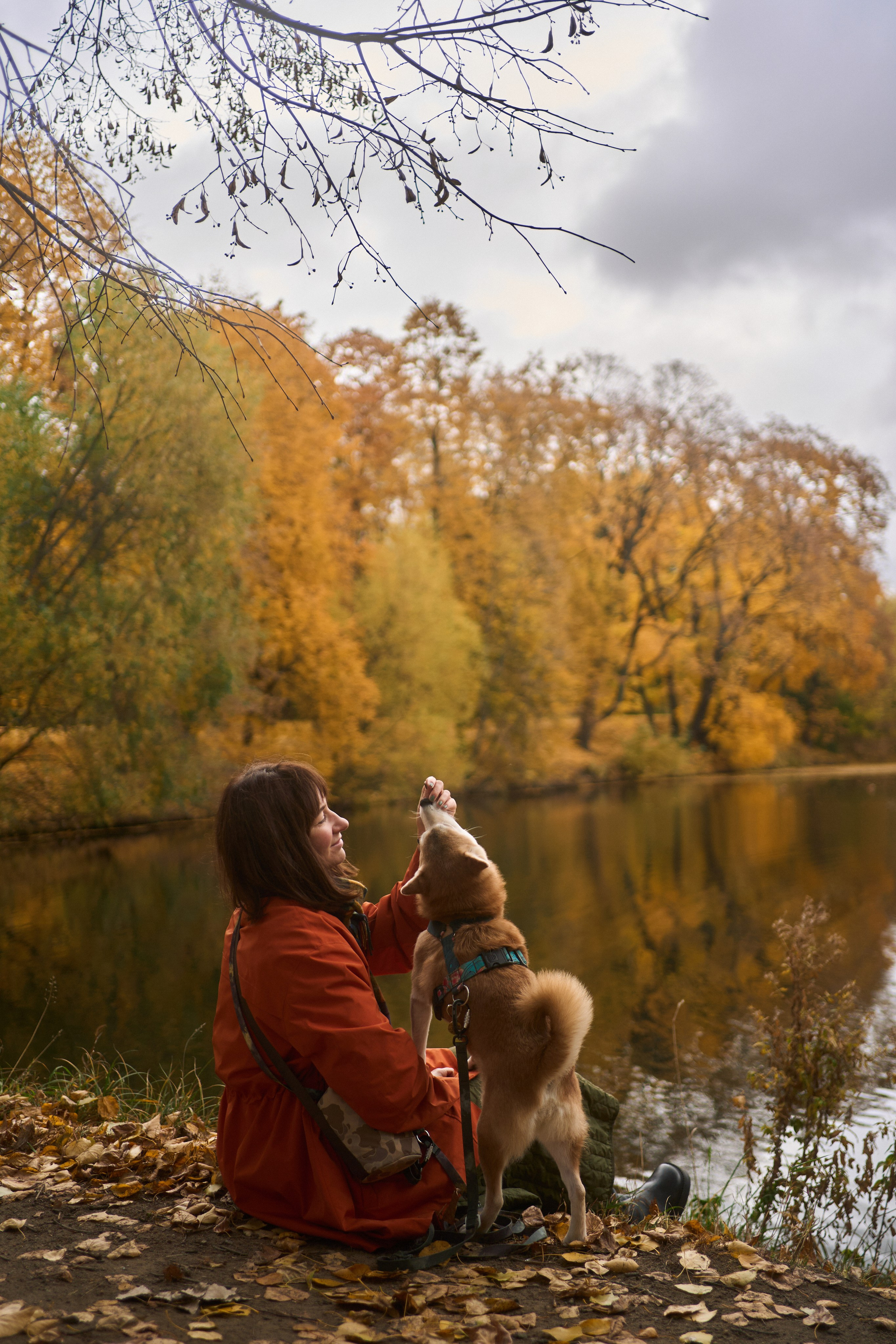 Осенние Уши. Фотограф анималист Москва Дарья