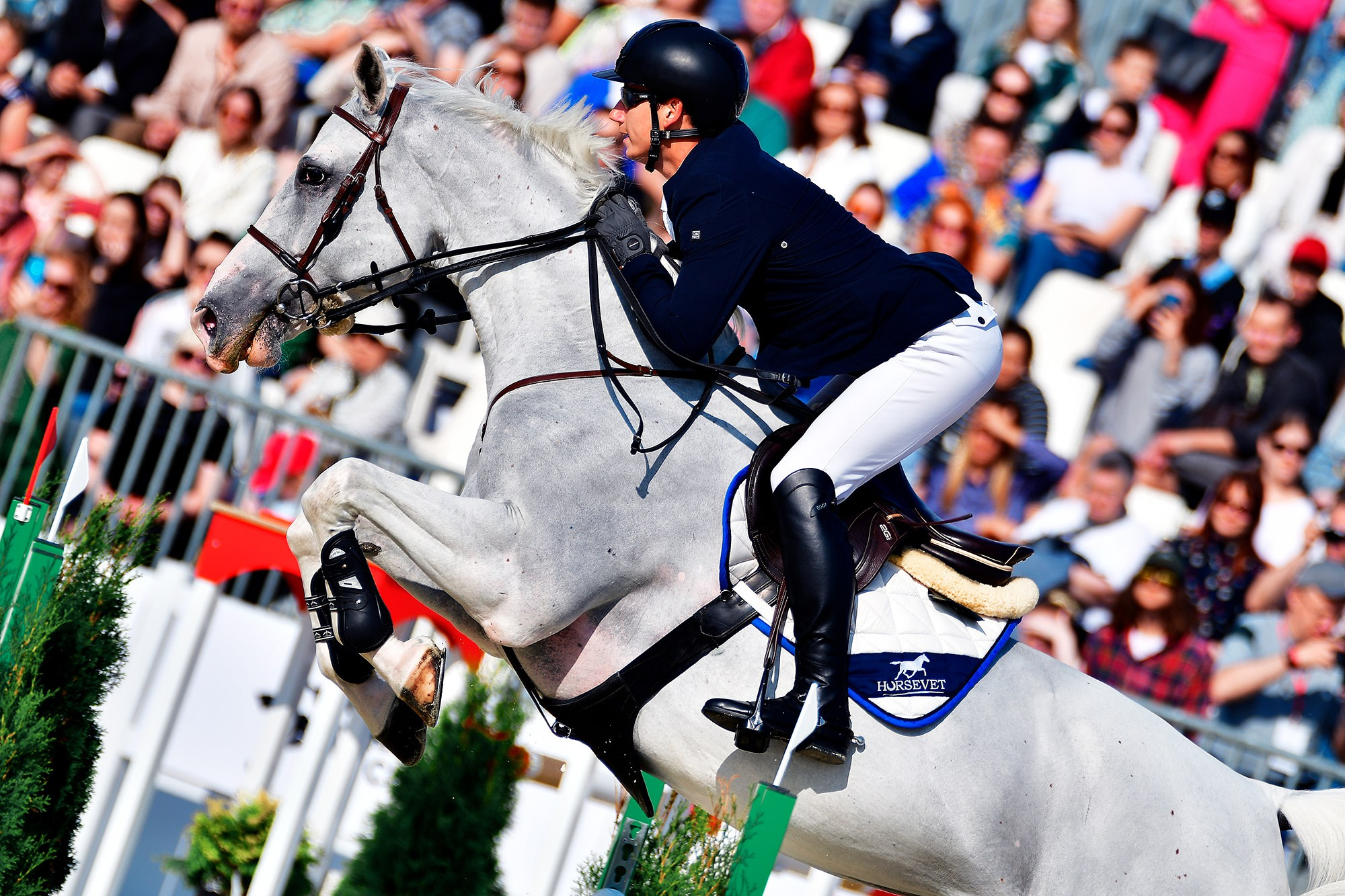 Репортаж Bitriver. Конный фотограф Alesya Safe