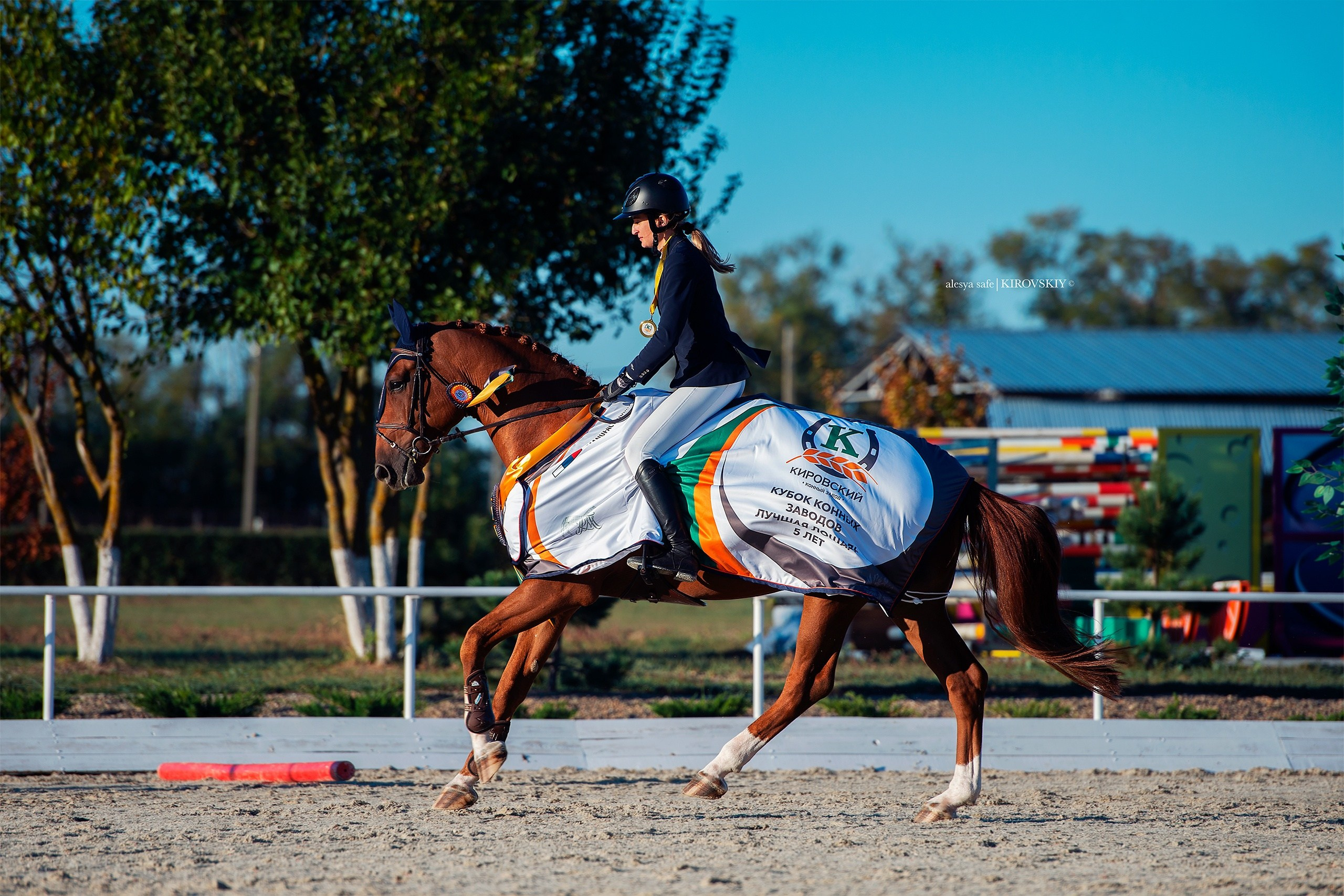 Кировский конный завод. Конный фотограф Alesya Safe
