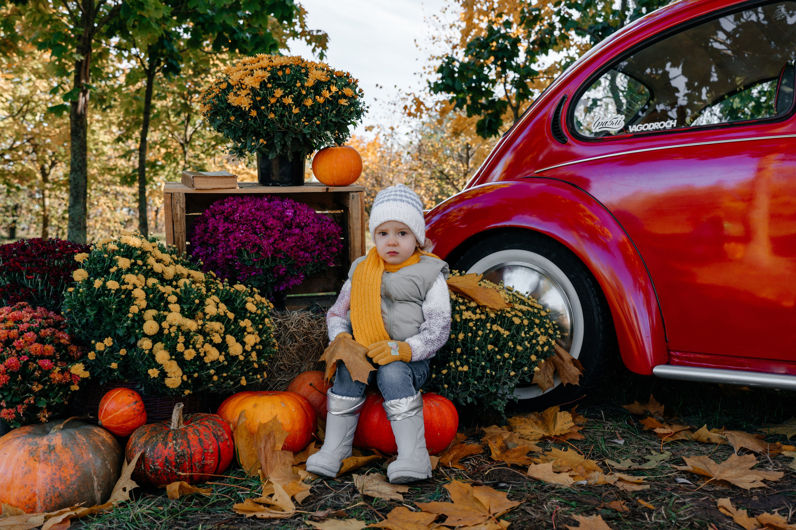 Ослепительная осень в кадре. Ваш семейный фотограф в Минске — Вика Трегубова