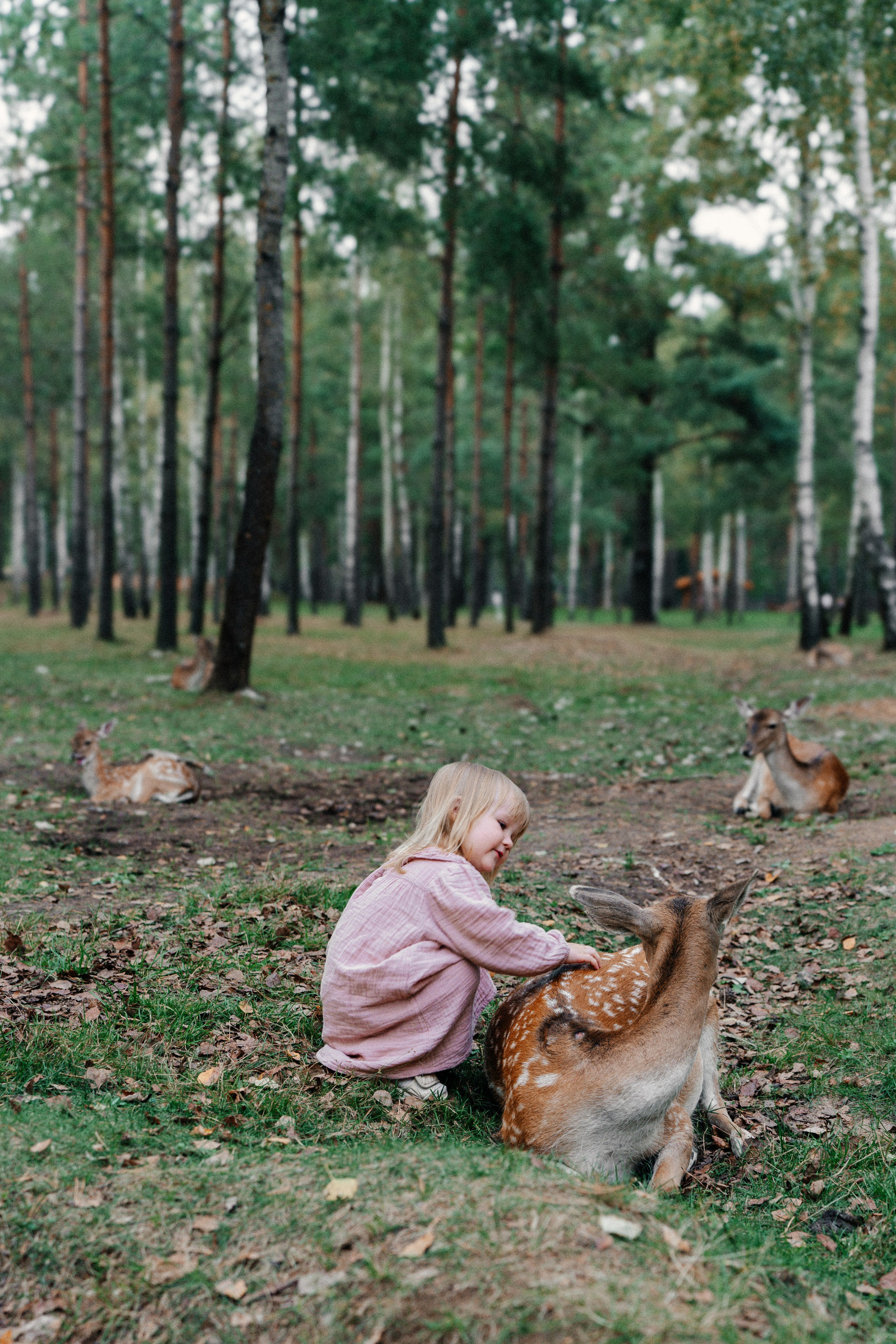Диприз — в мире диких животных. Ваш семейный фотограф в Минске — Вика Трегубова