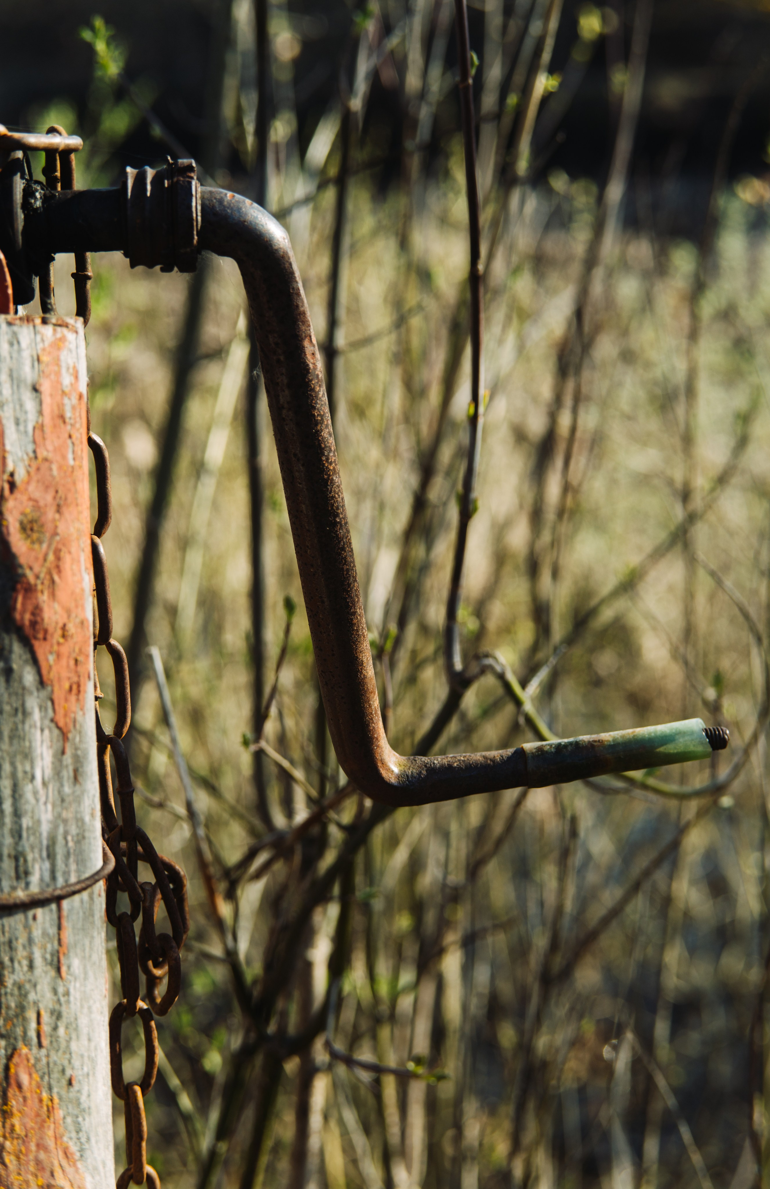 Орановка. Репортажный и портретный фотограф в Липецкой, Воронежской, Московской области Тёма Белоусов