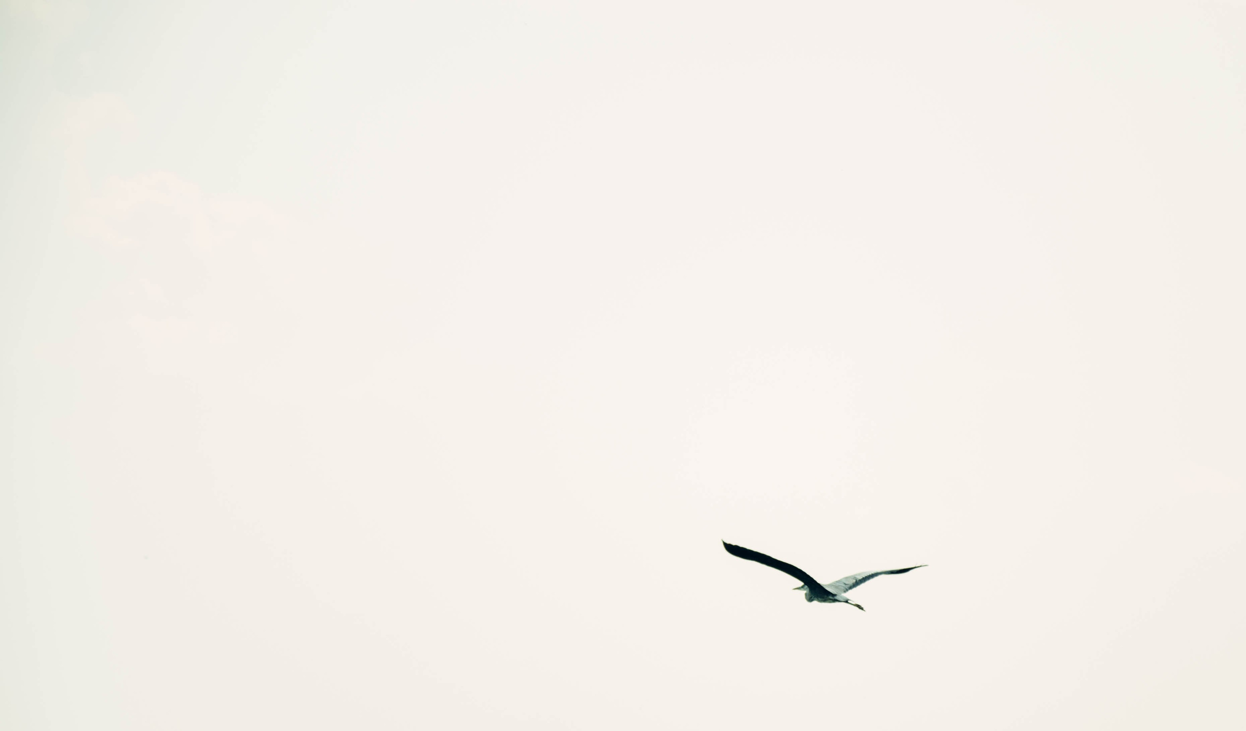 Дон. Главная