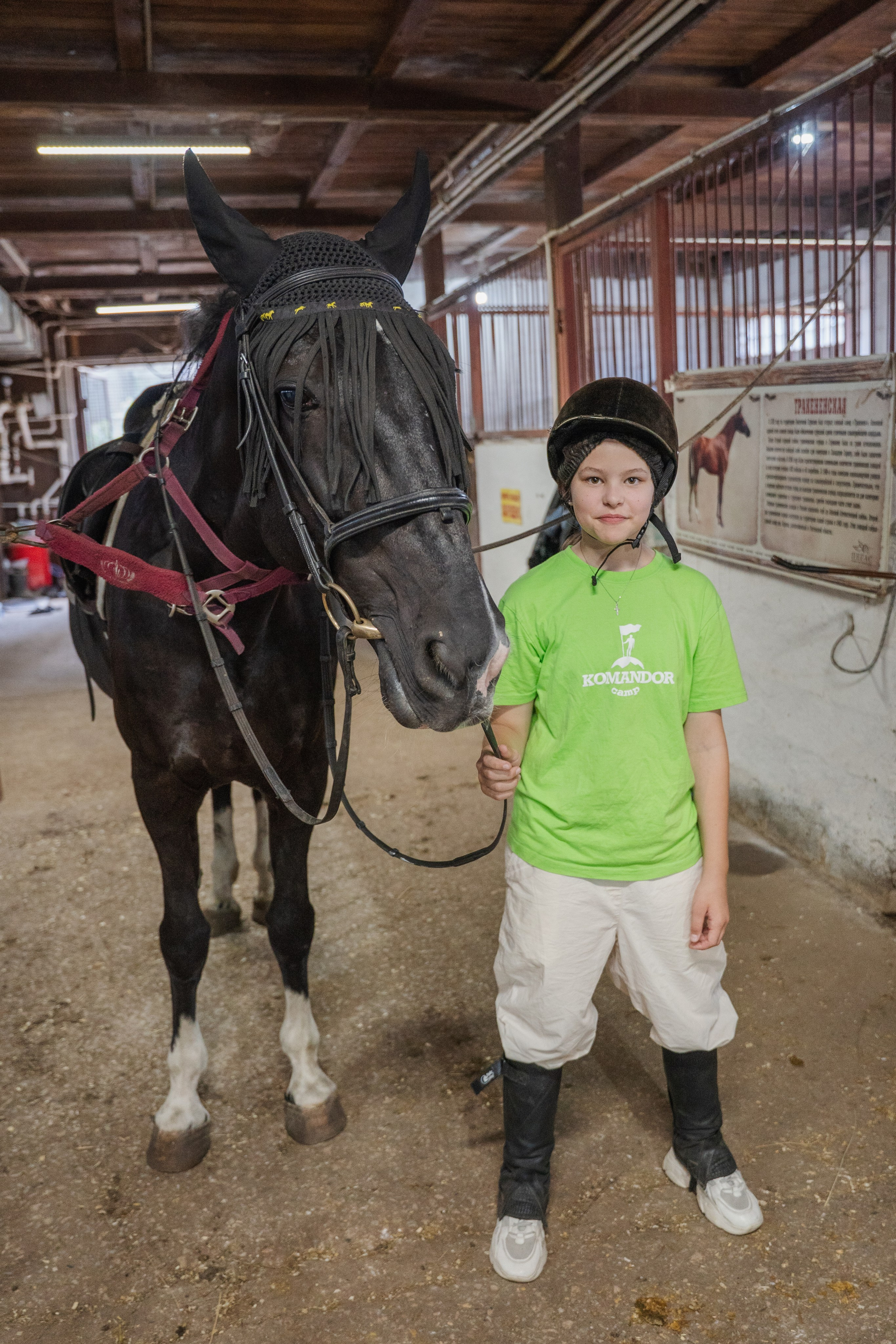 Конное занятие. Главная