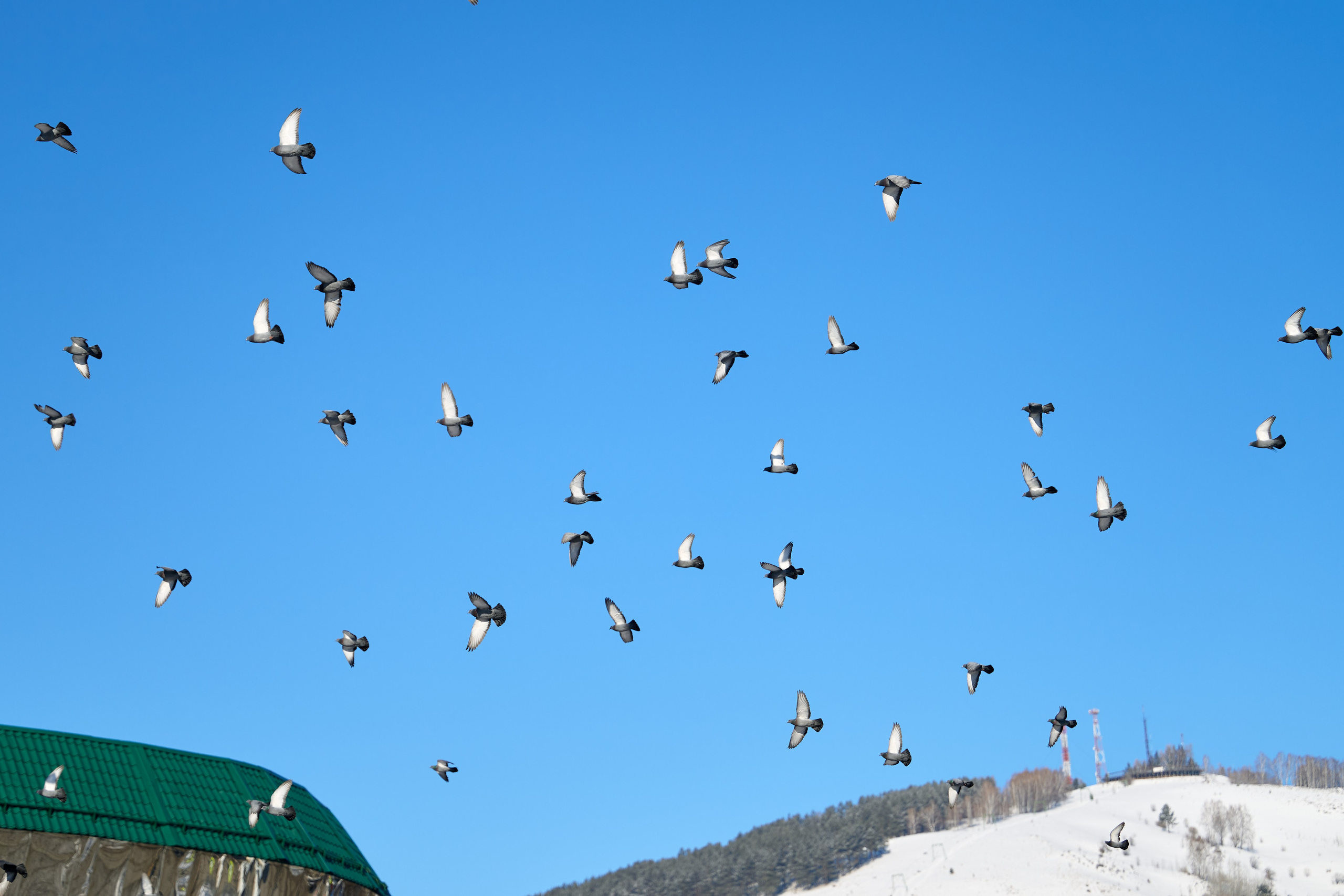 Чага-Байрам 2026. Фотограф Опыт Качество Скорость Горный Алтай Барнаул