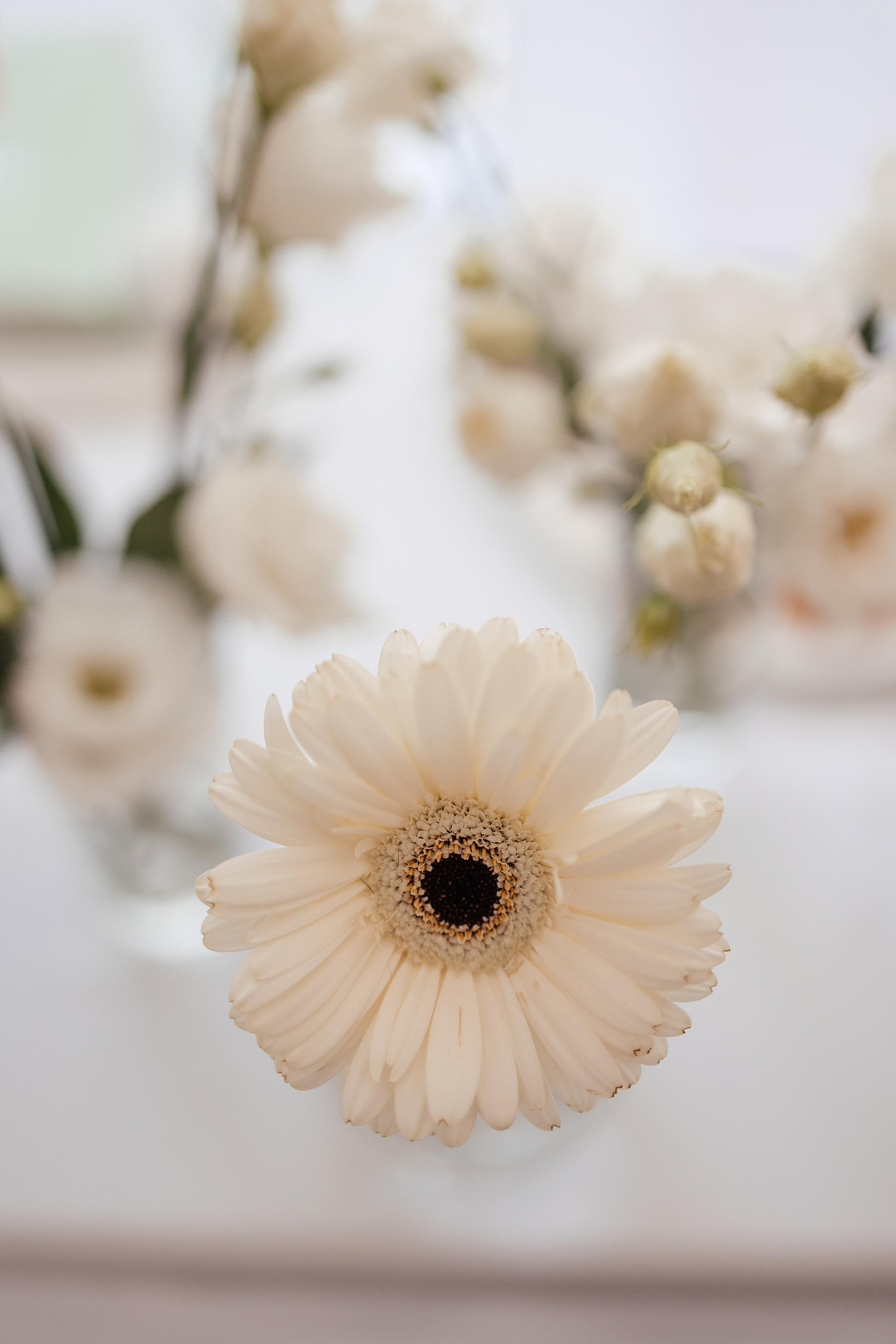 Вова и Лера. Фотограф Крохин Олег