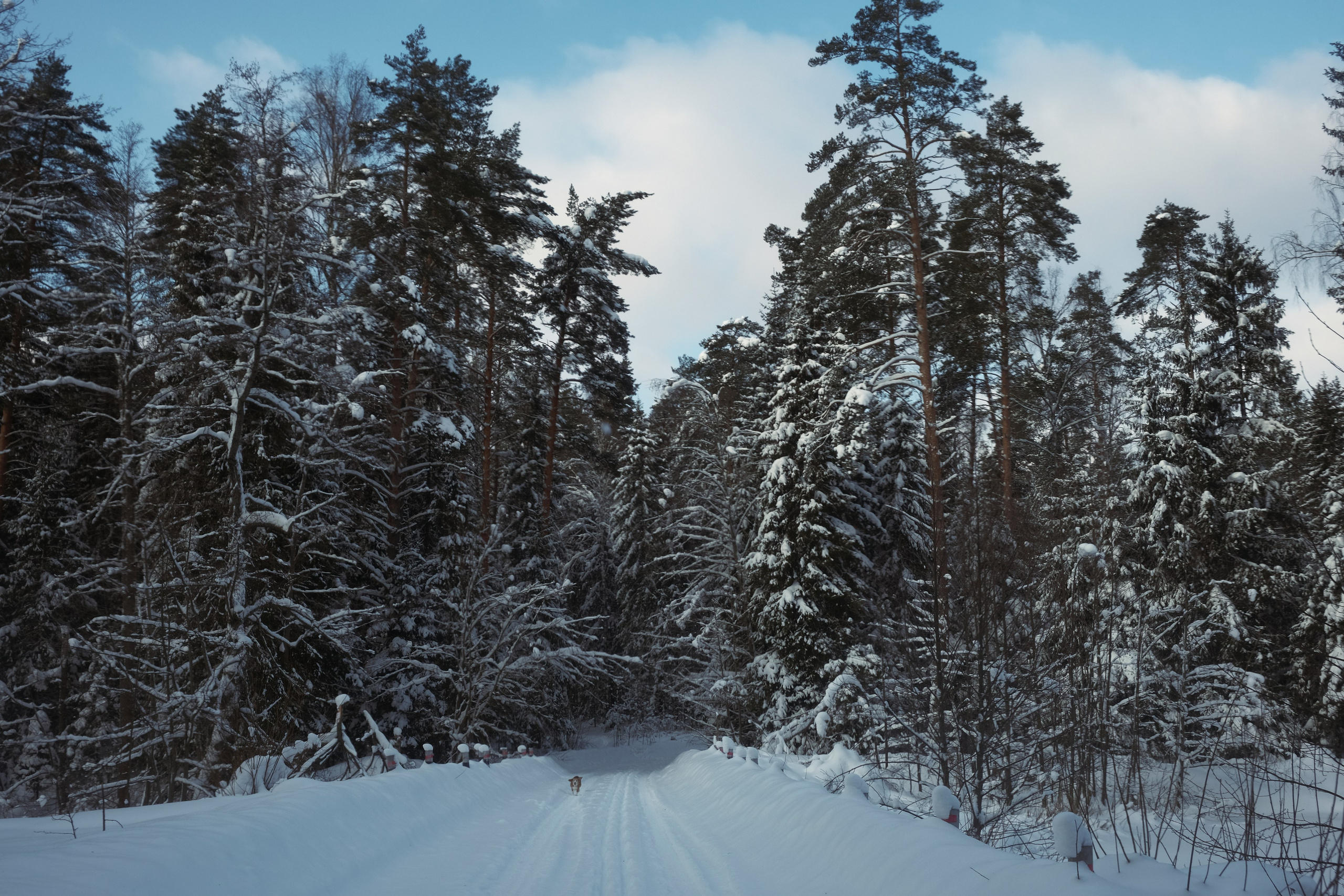 Под Москвой. Фотограф Настя Лев
