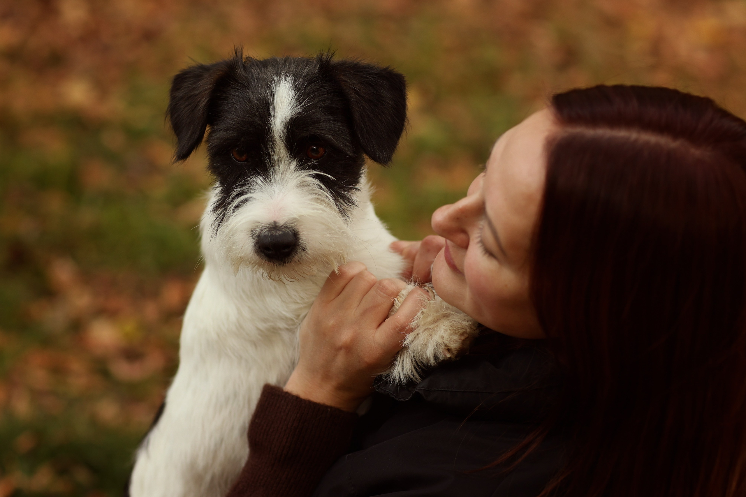 Аня, Броша и Марс. Фотограф — Анималист Наталья Тямушева