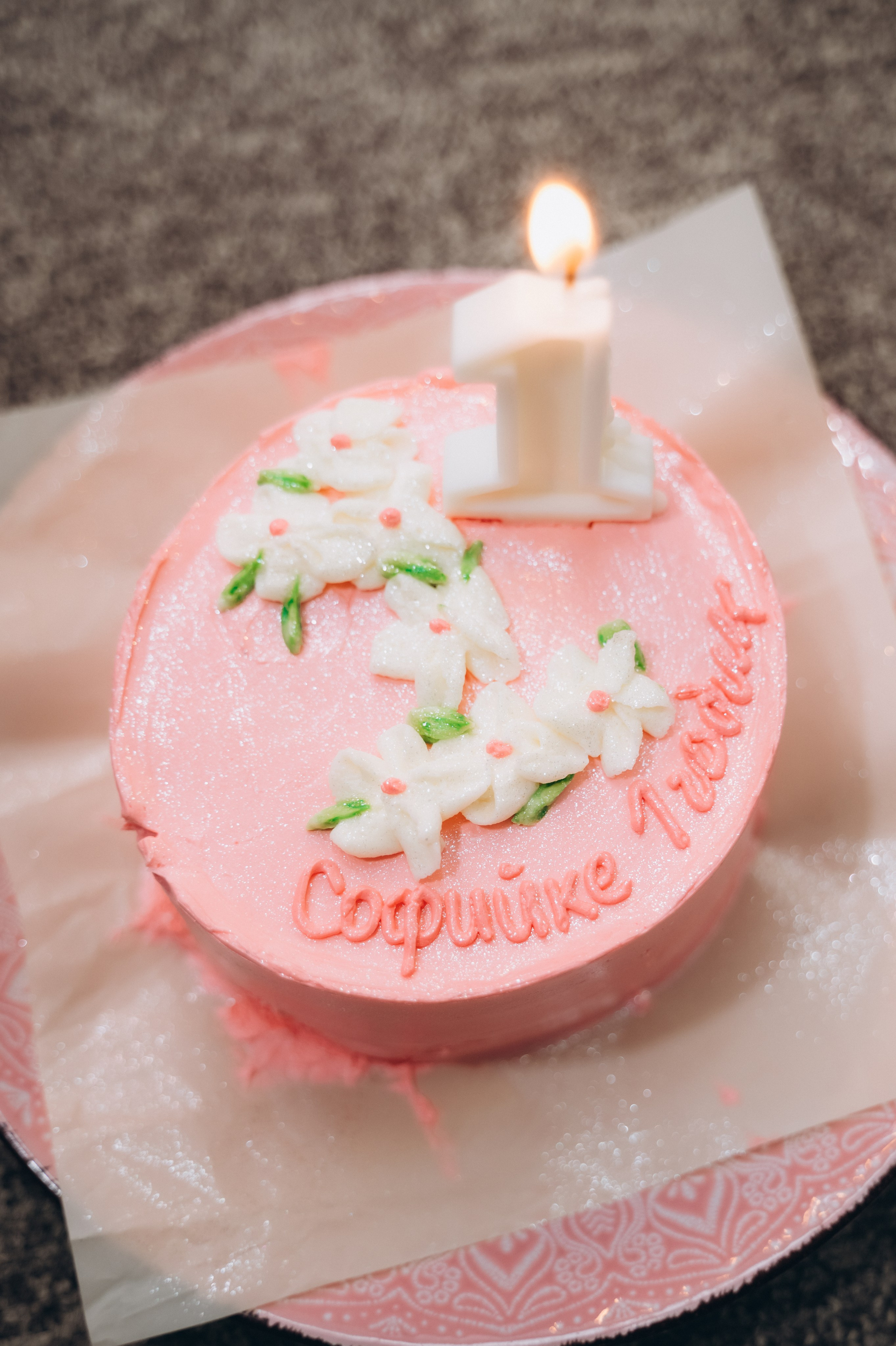 День Рождение Софии в Пуговке. Семейный фотограф в Минске Дарья Дреко