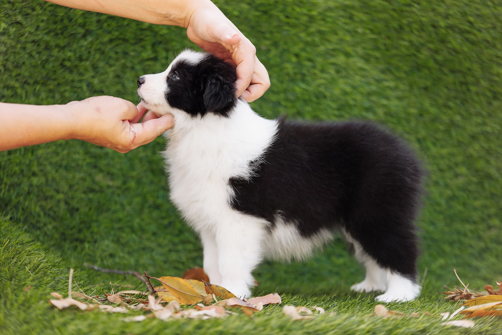 Новый лист. О нас