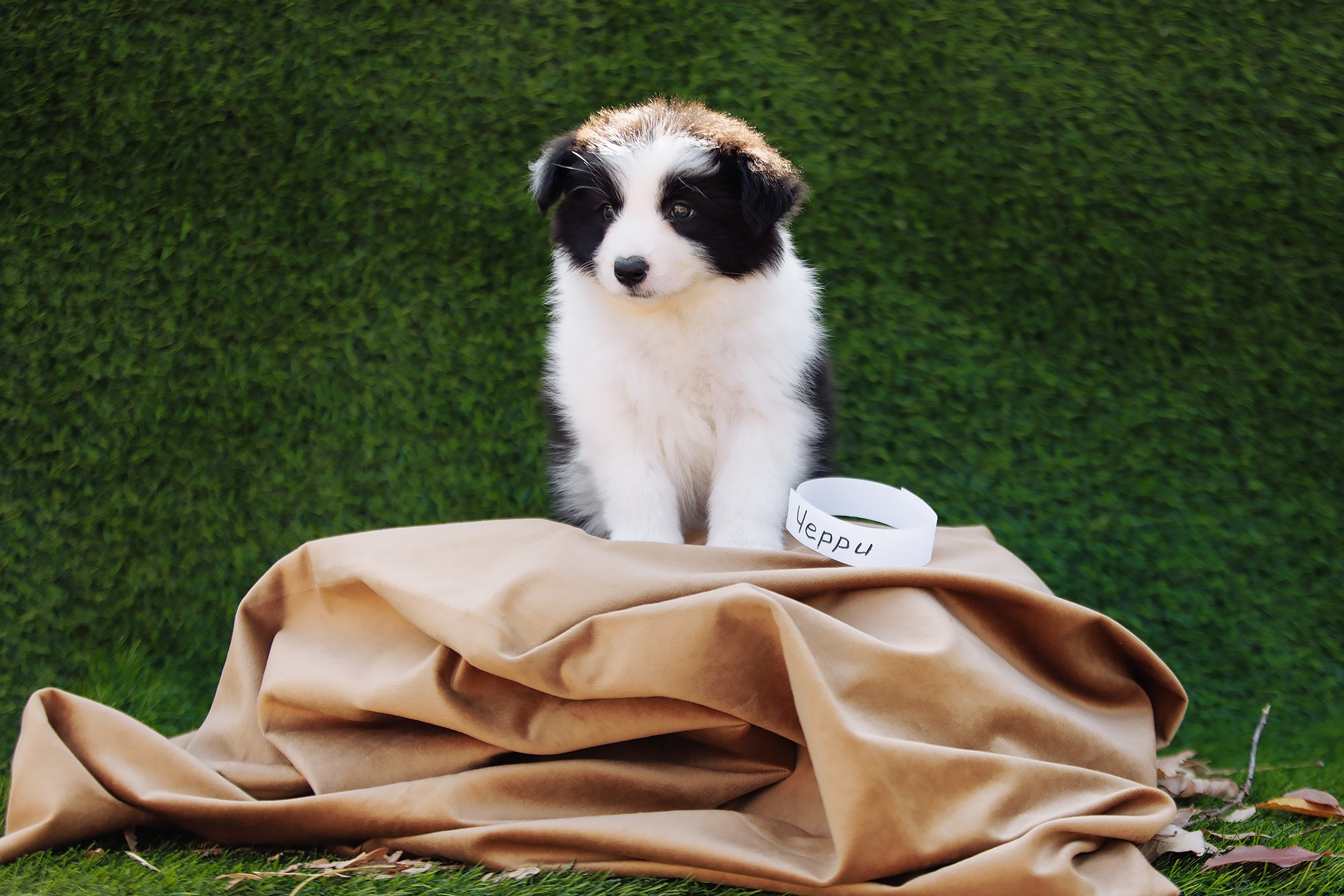 Новый лист. О нас