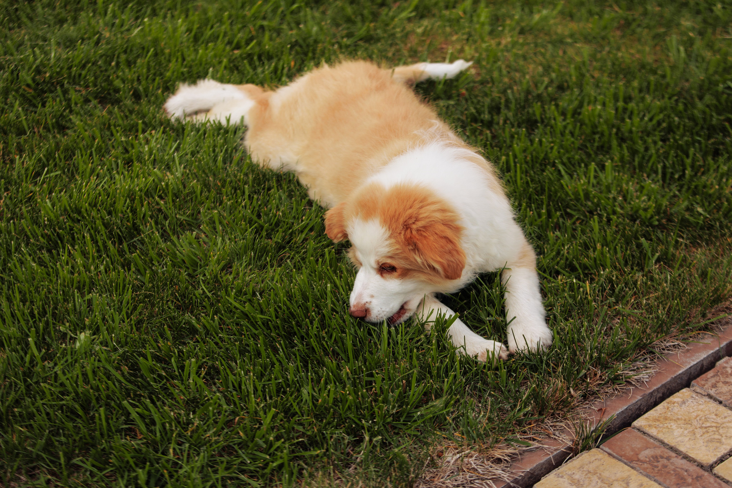 СОлнечные. О нас