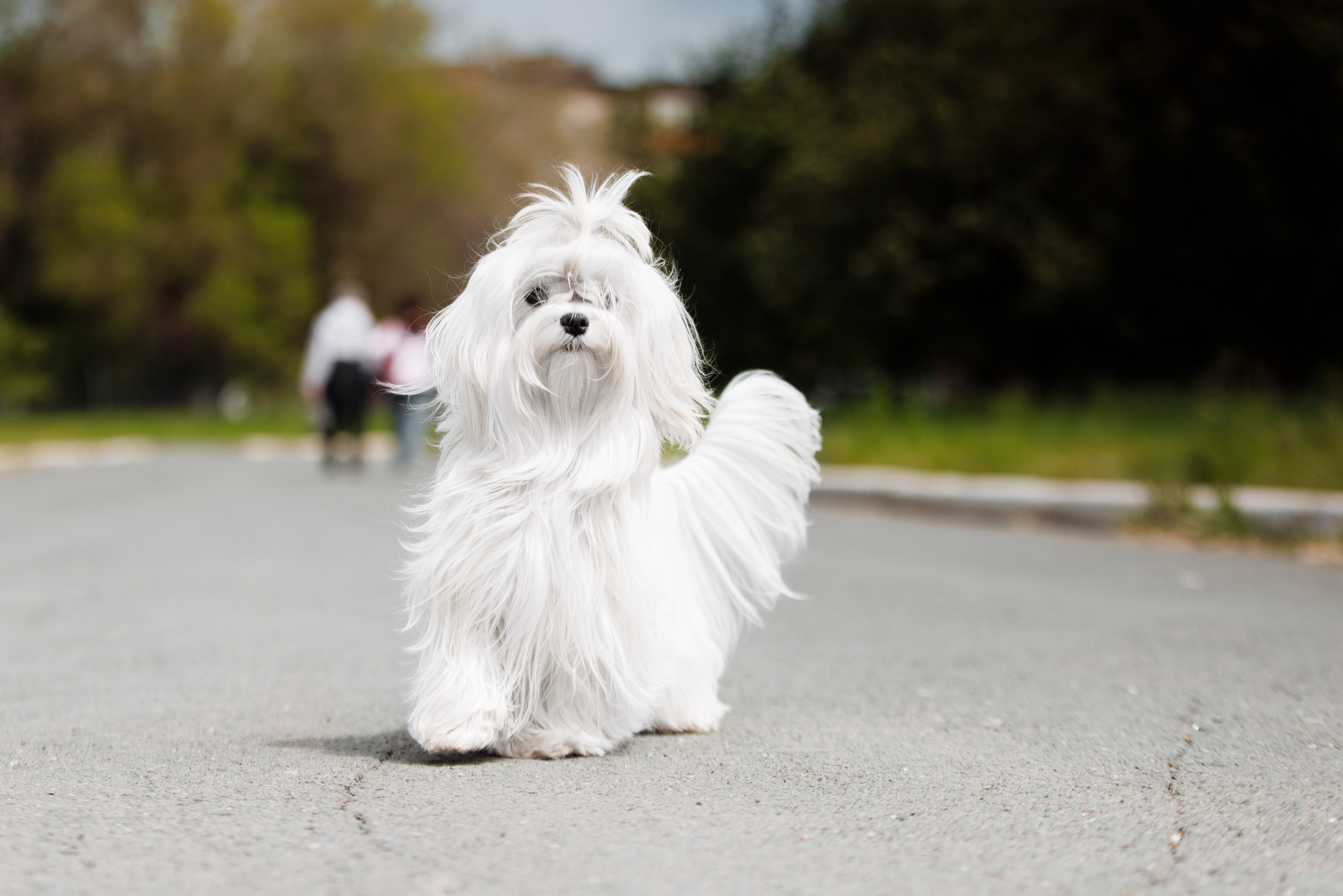 Такой разношерстный Орск 25. О нас