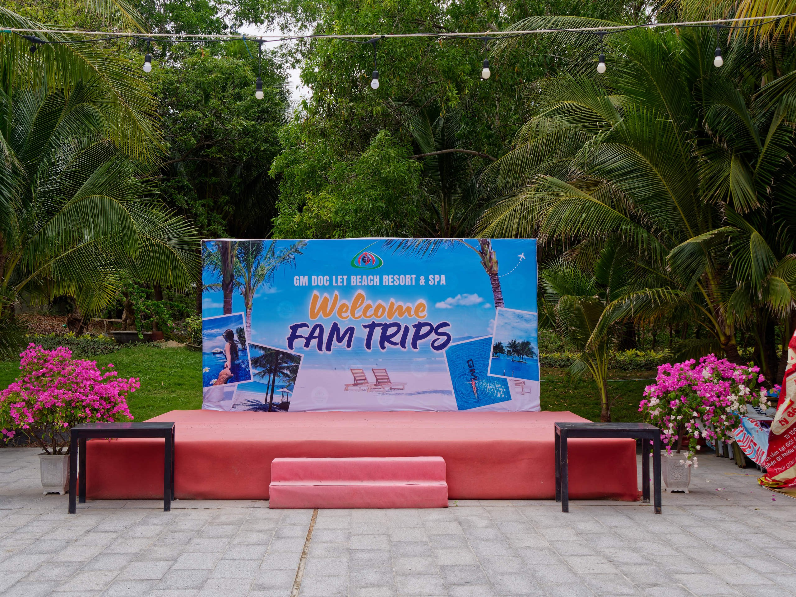 Нячанг 2025 (6). Избранные фотографии