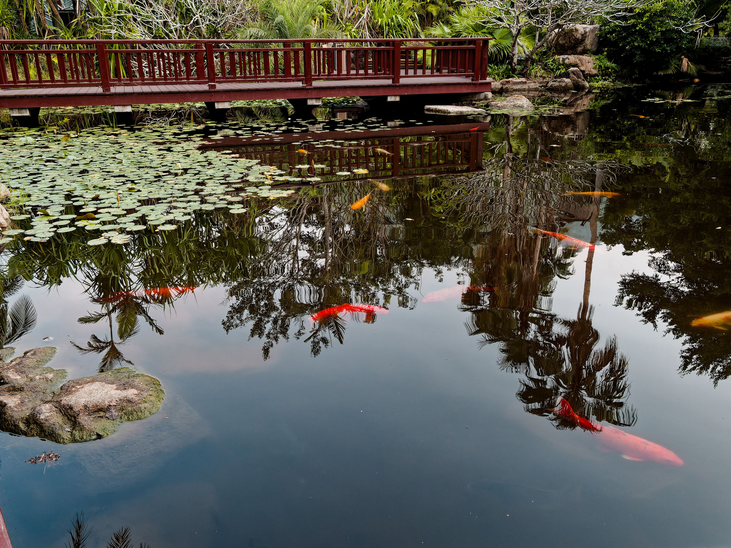 Хайнань 2026, первые впечатления. Фотопрогулки по Миру