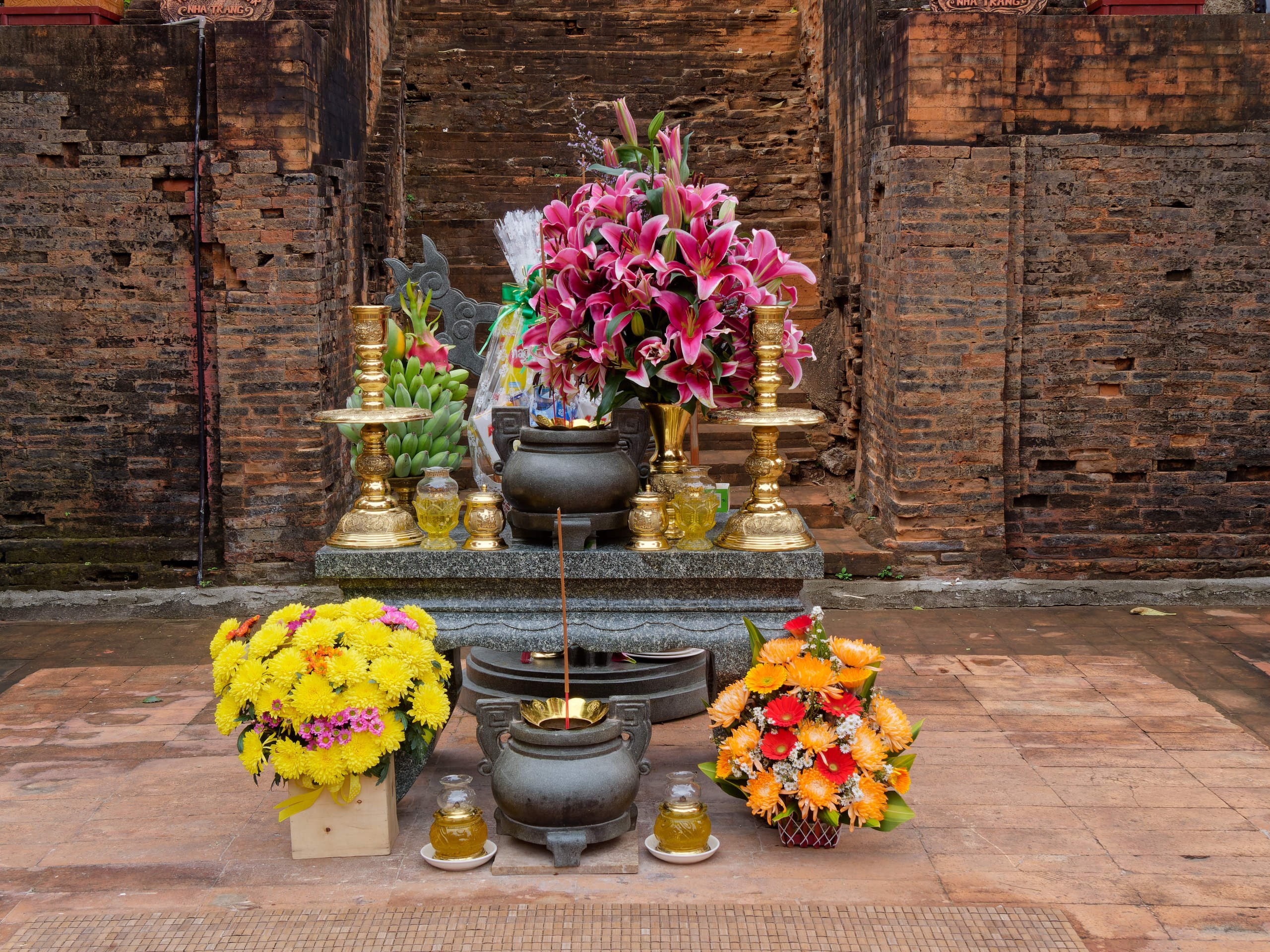 Нячанг 2025 (4). Избранные фотографии