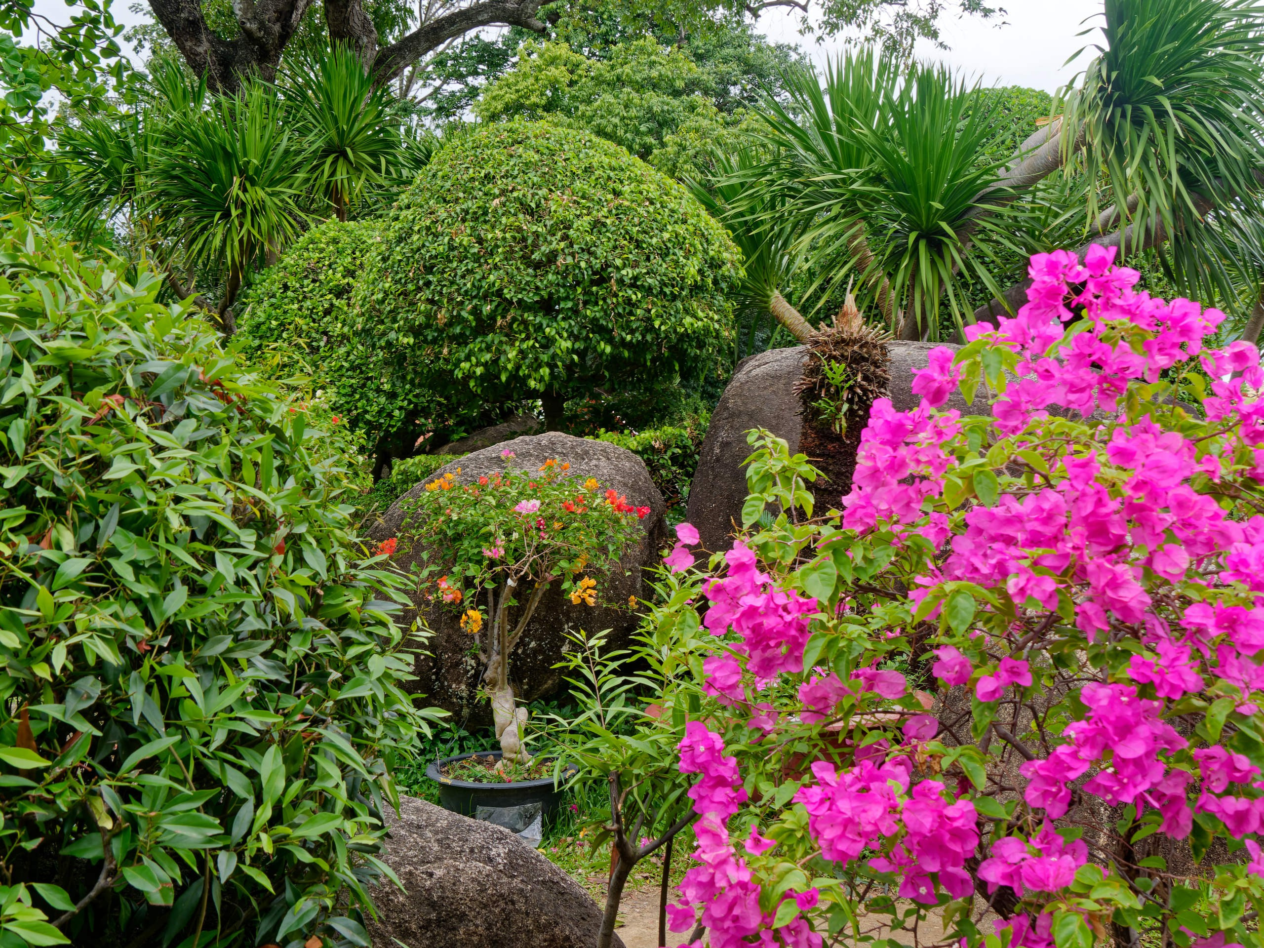 Нячанг 2025 (4). Избранные фотографии