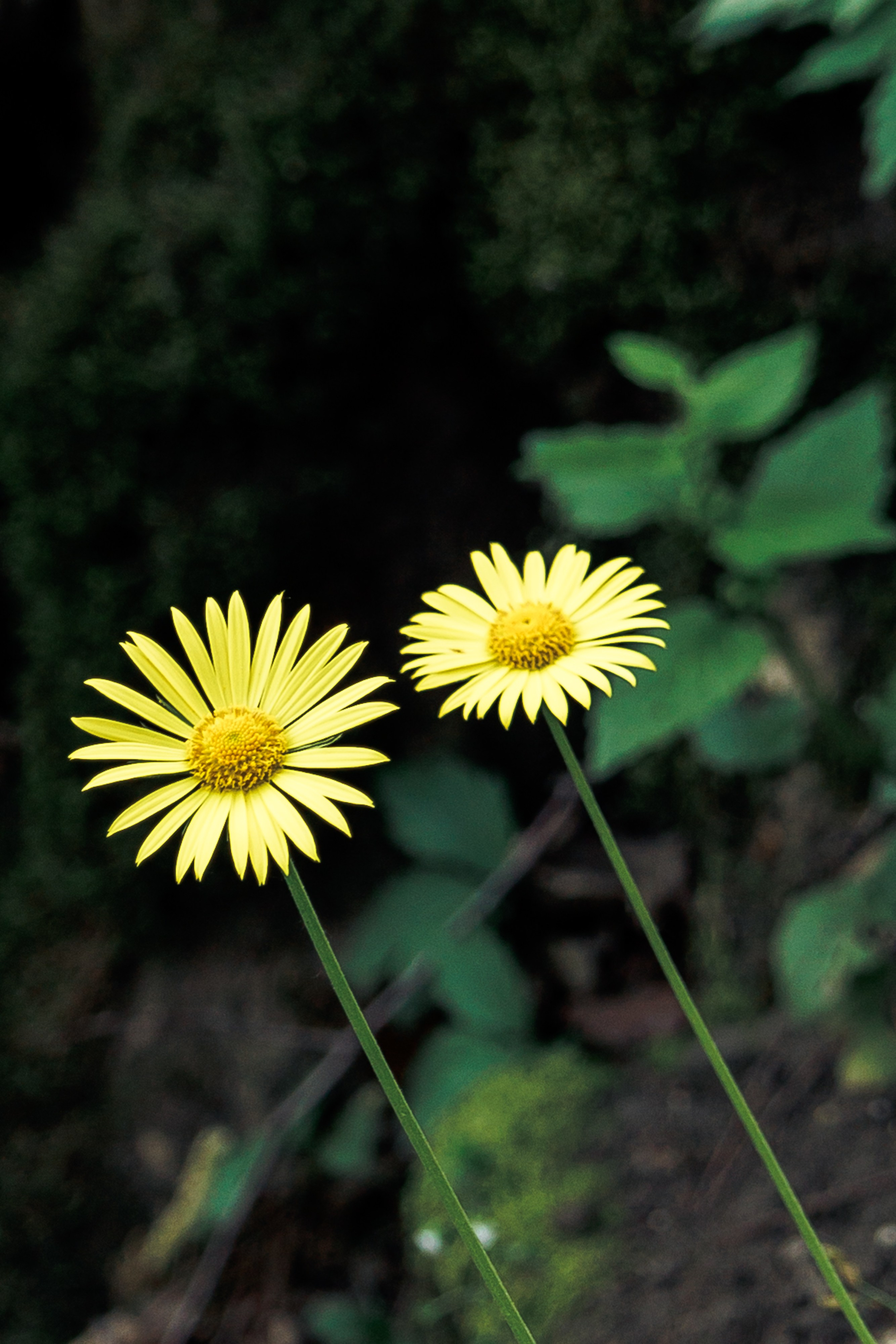 Адыгея. Водопады Руфабго 13.04.24. Фотограф katya_vkadre Таганрог