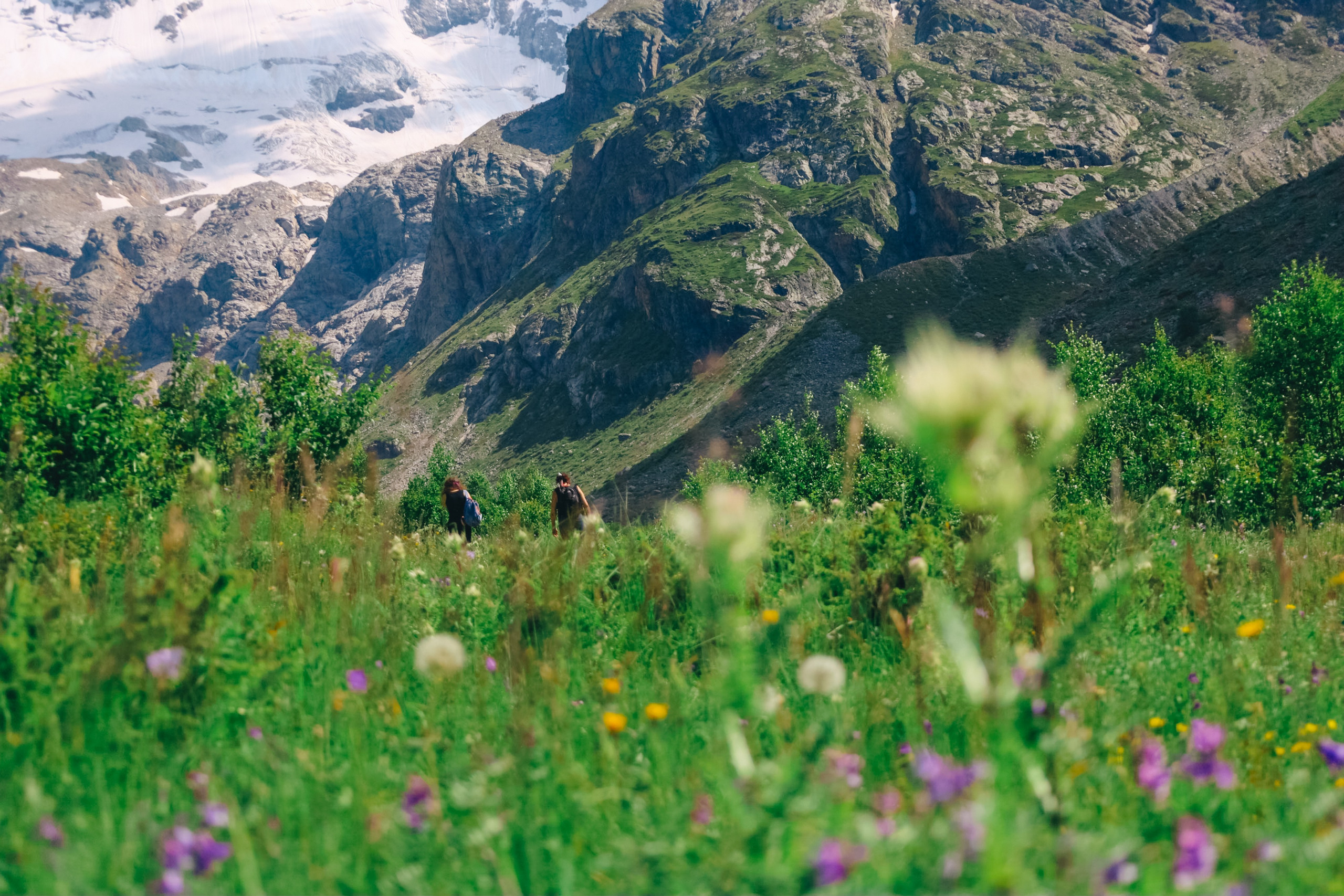 Приэльбрусье 22 — 23 июля 2023. Фотограф katya_vkadre Таганрог