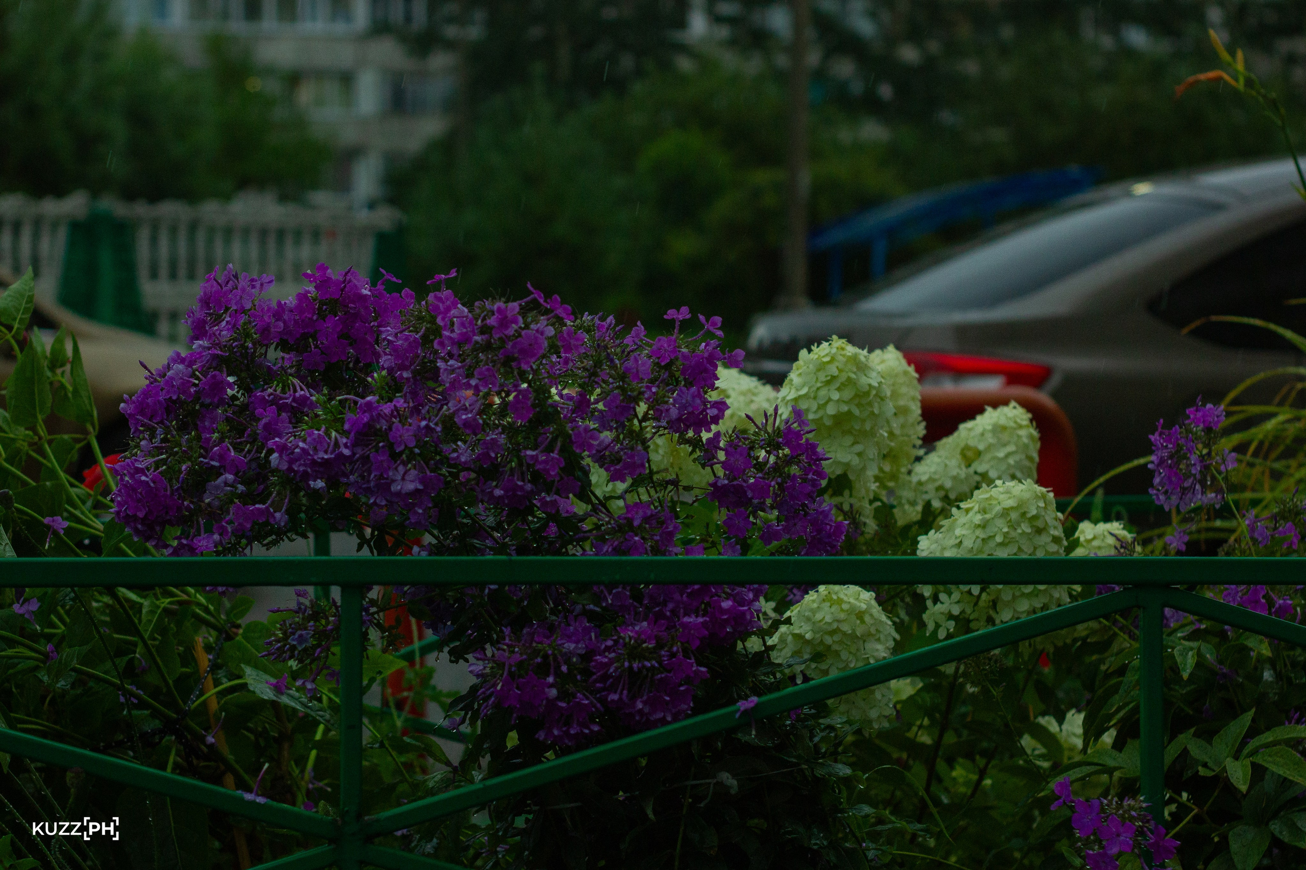 11.08.2024 | Сосновоборск. Kuznetsov | Фотограф в Красноярске