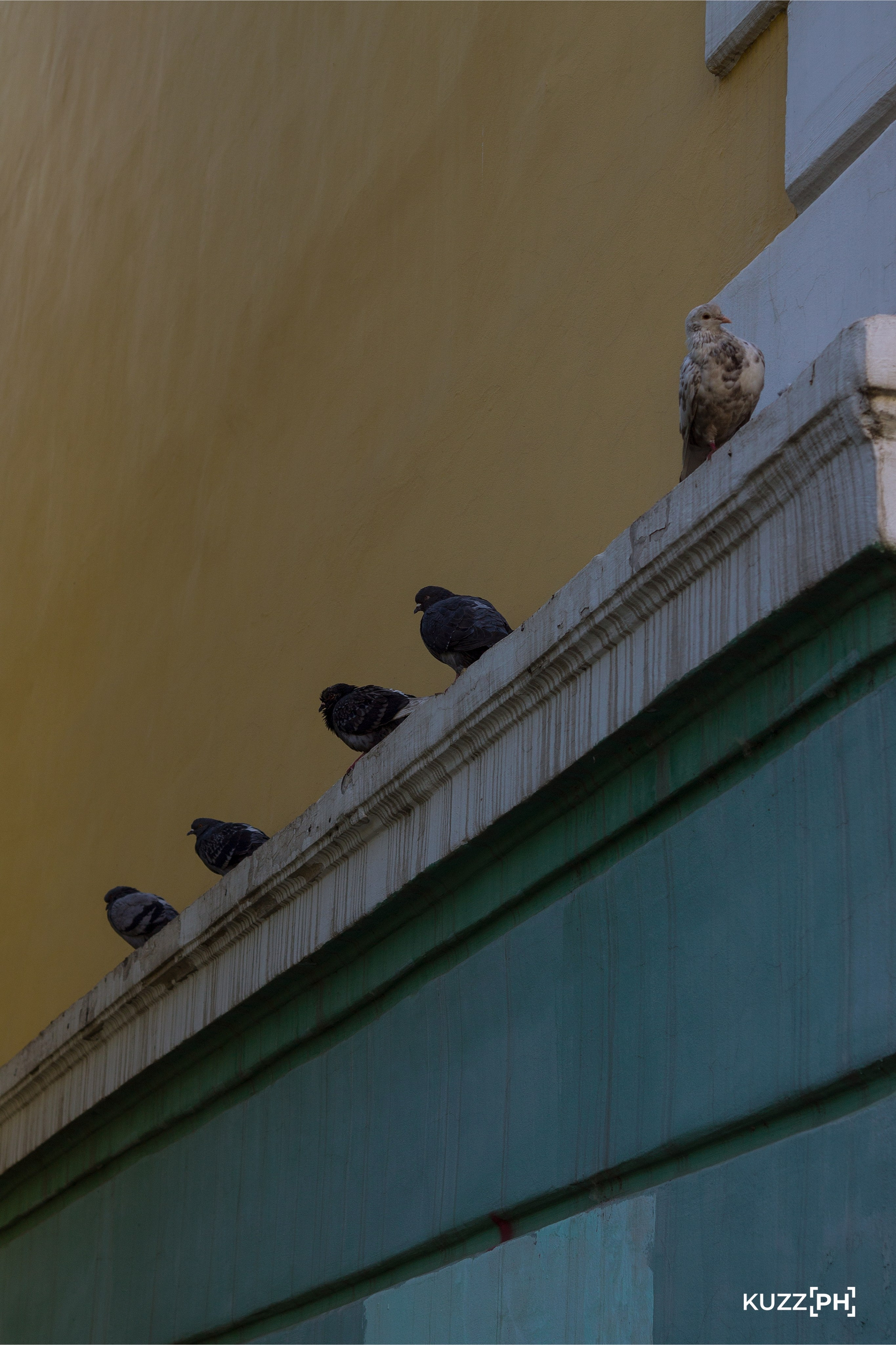 19.09.2023 | Красноярск. Kuznetsov | Фотограф в Красноярске