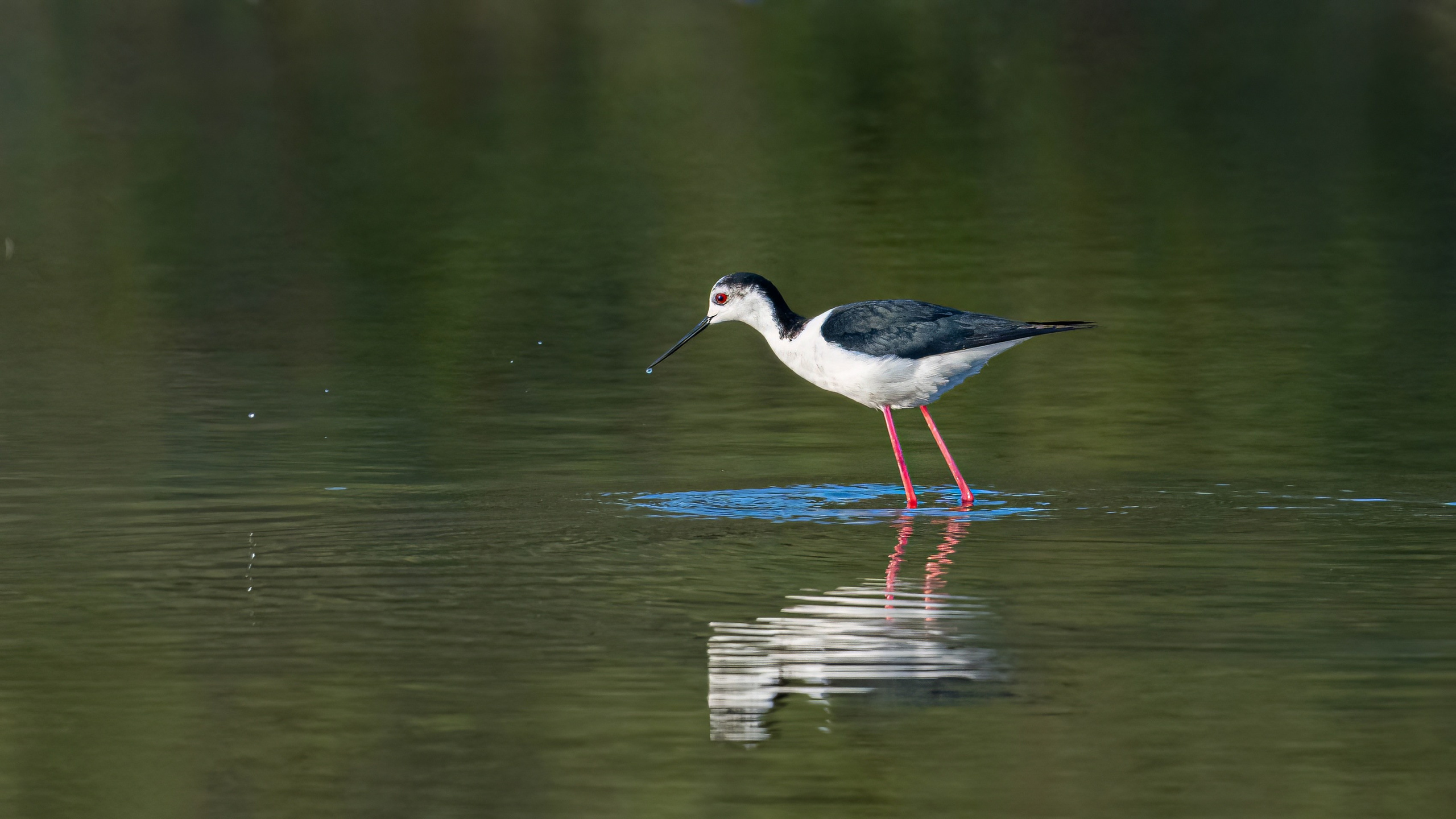 Портфолио. Фотограф и видеограф, видеомонтаж в Амурской области Игорь Иванов