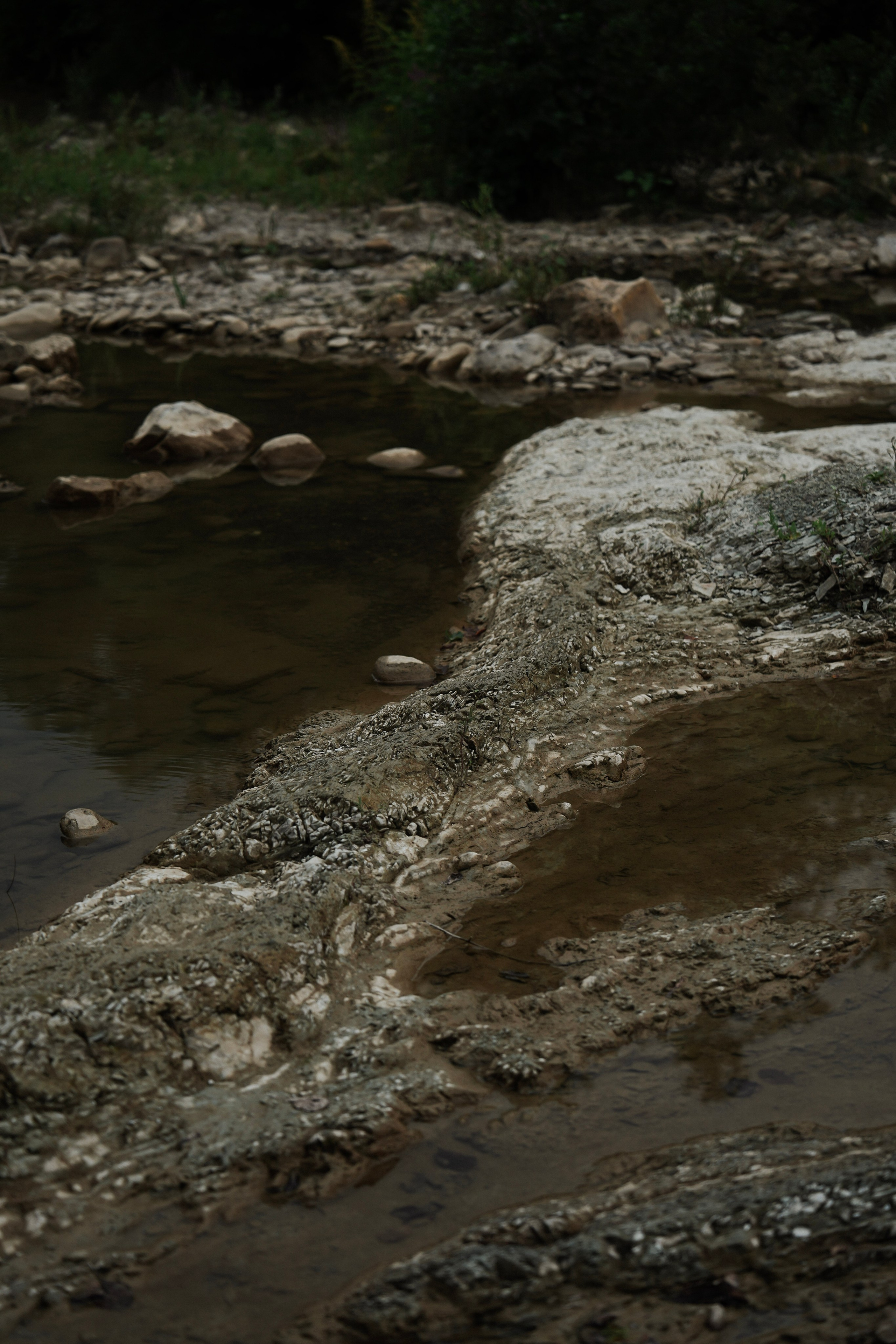 Инна в лесу. Фотограф с психологическим образованием