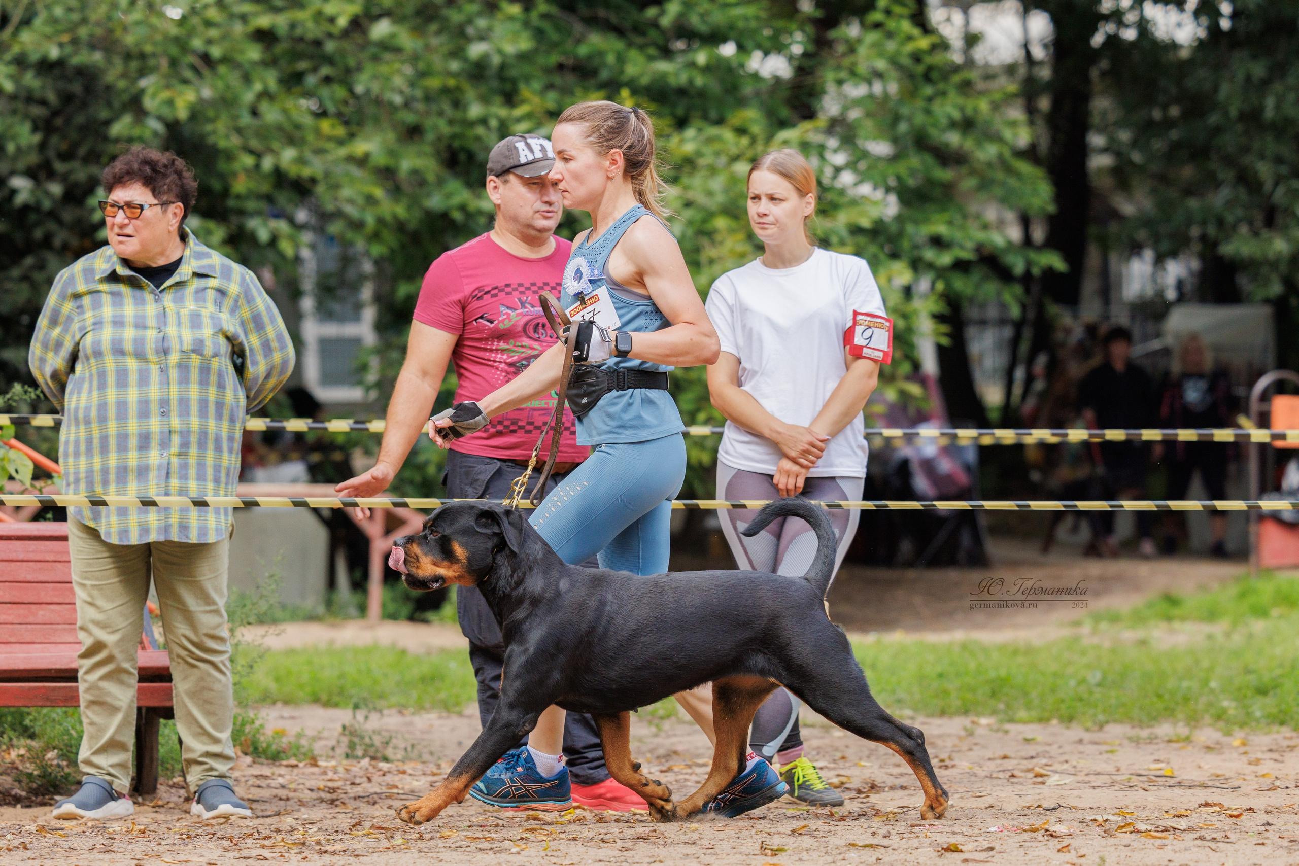 Рязань-Ховрино 10-11.08.2024 3хмоно ротвейлеров. Фотограф-анималист Юлия Германика