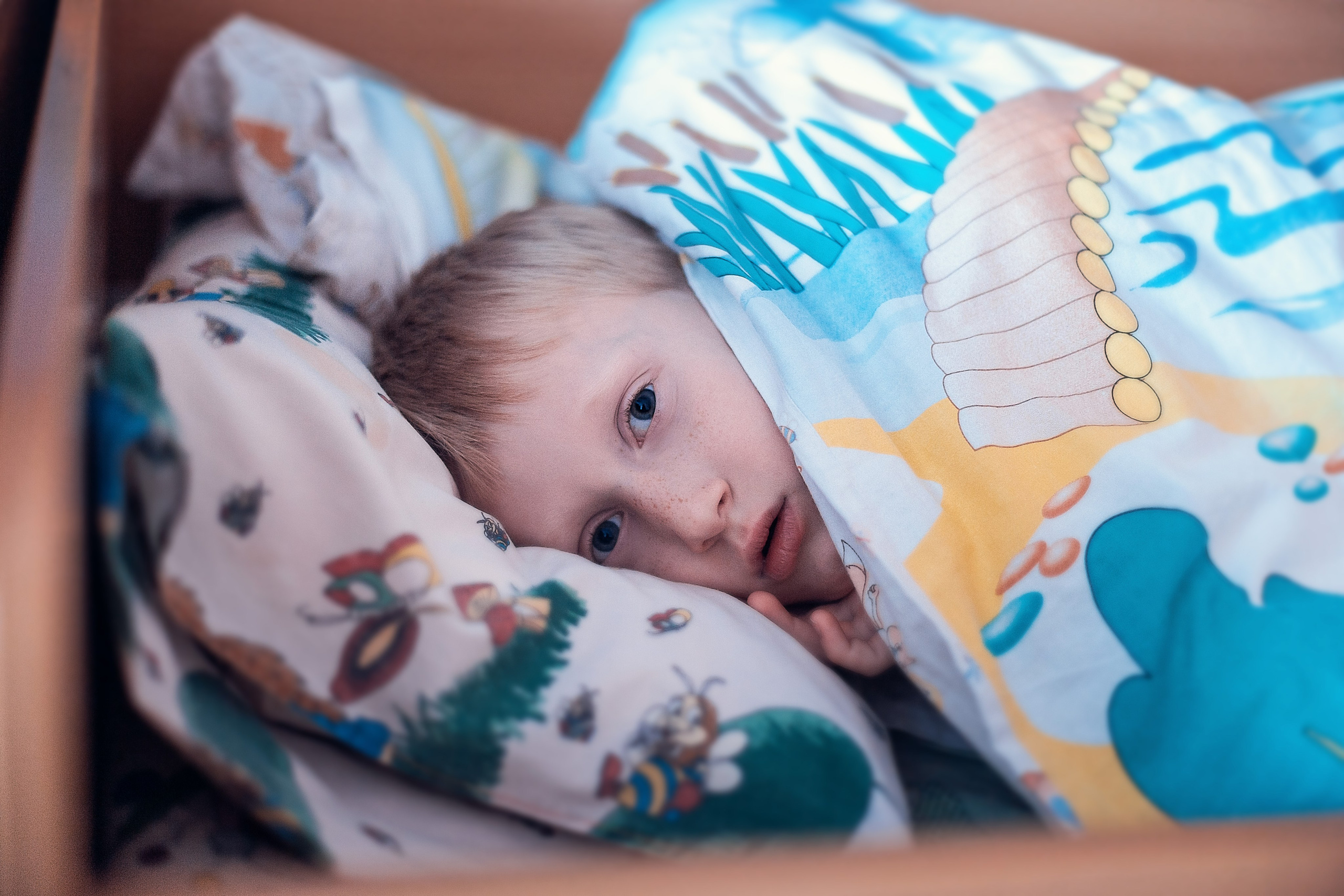 Выпускной фотоальбом 2025. Семейный фотограф в Санкт-Петербурге