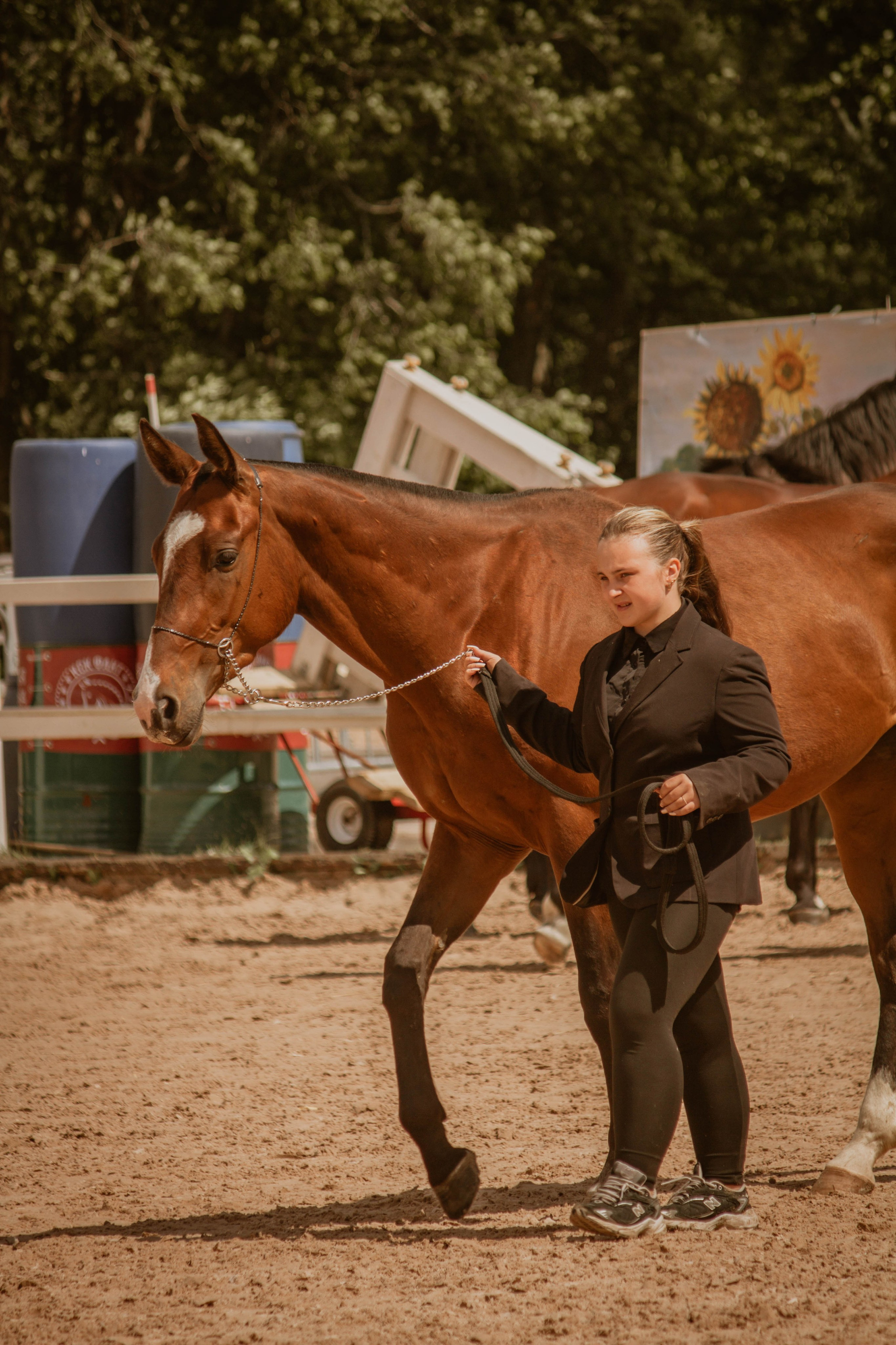 ИППОСФЕРА — Международная конная выставка. Создадим шедевр? Виталина и её фотоискусство