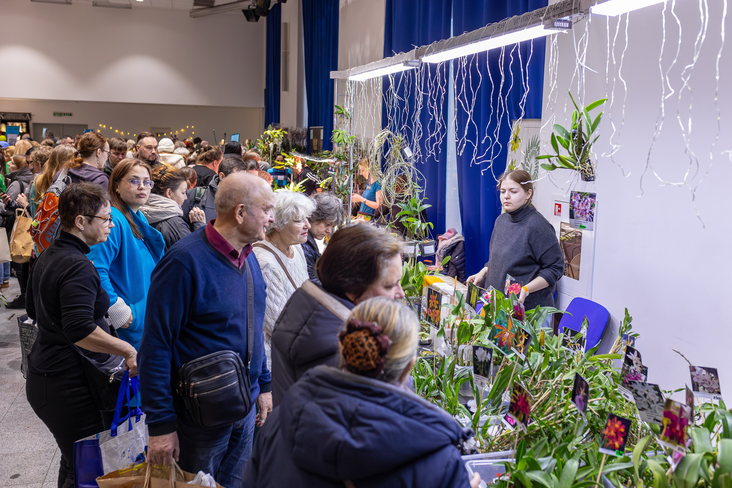 Орхидиум 12.2025. Александра Куликова фотограф, Москва