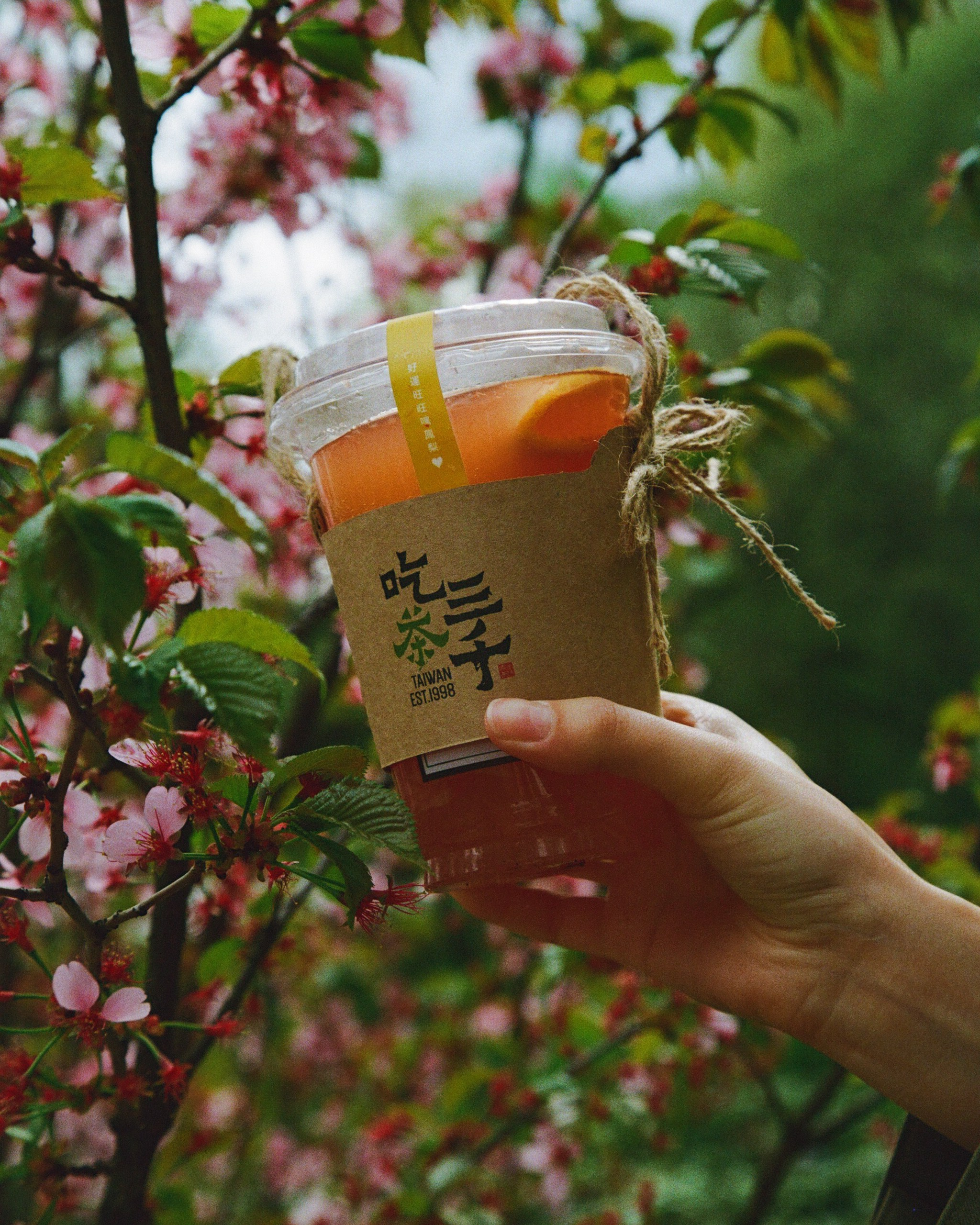 Chicha San Chen. Пленочный фотограф Москва