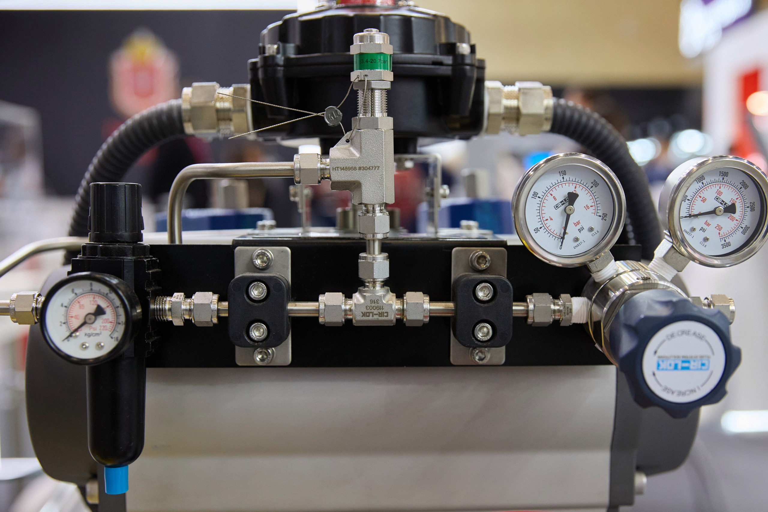 Выставка. Свадебная, репортажная фотосъемка и видеосъемка в Минске. Илья и Юлия Ширмановы. Фотограф | Видеограф | Минск