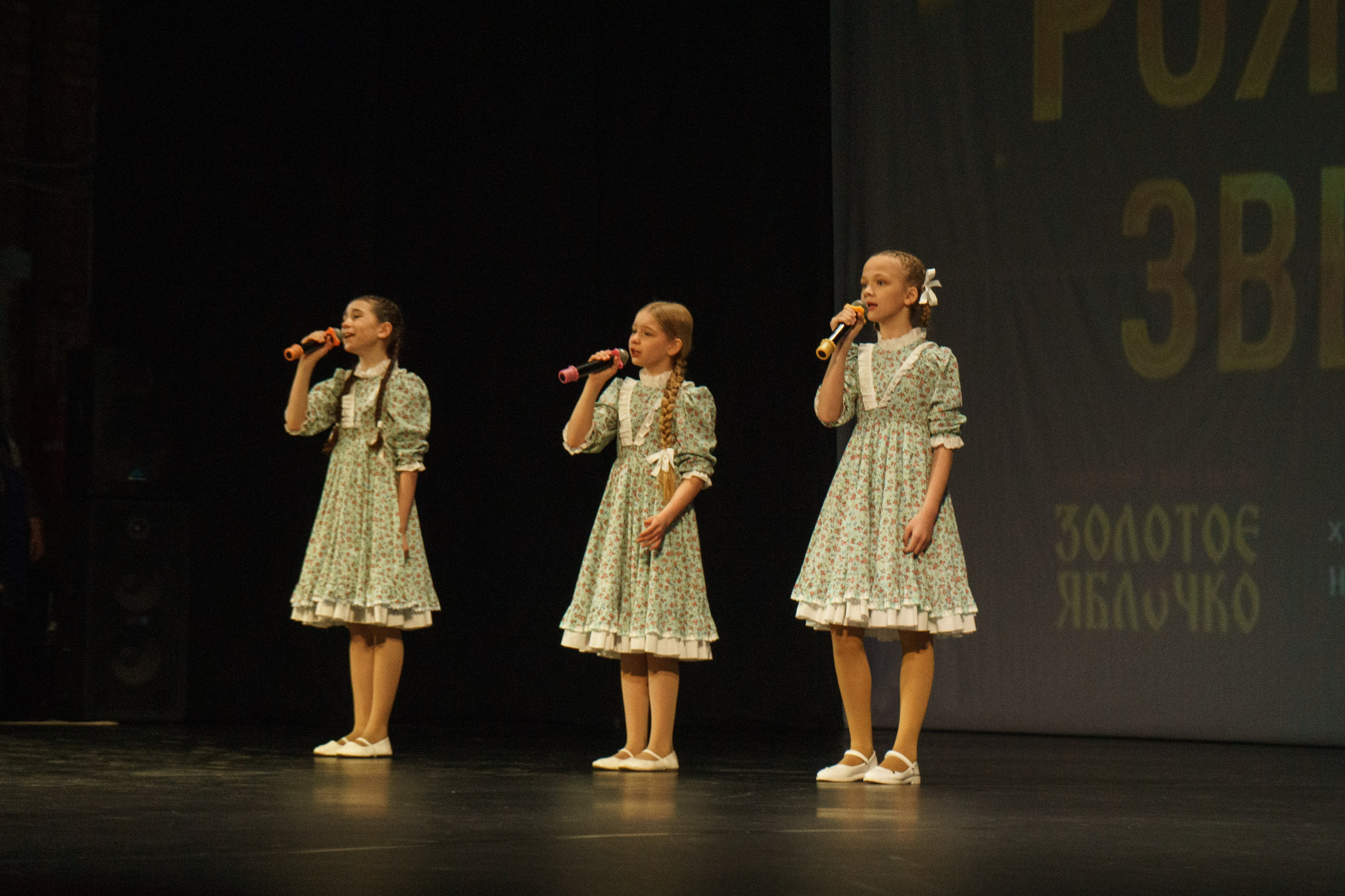 04 мая, г. Архангельск. Золотое яблочко