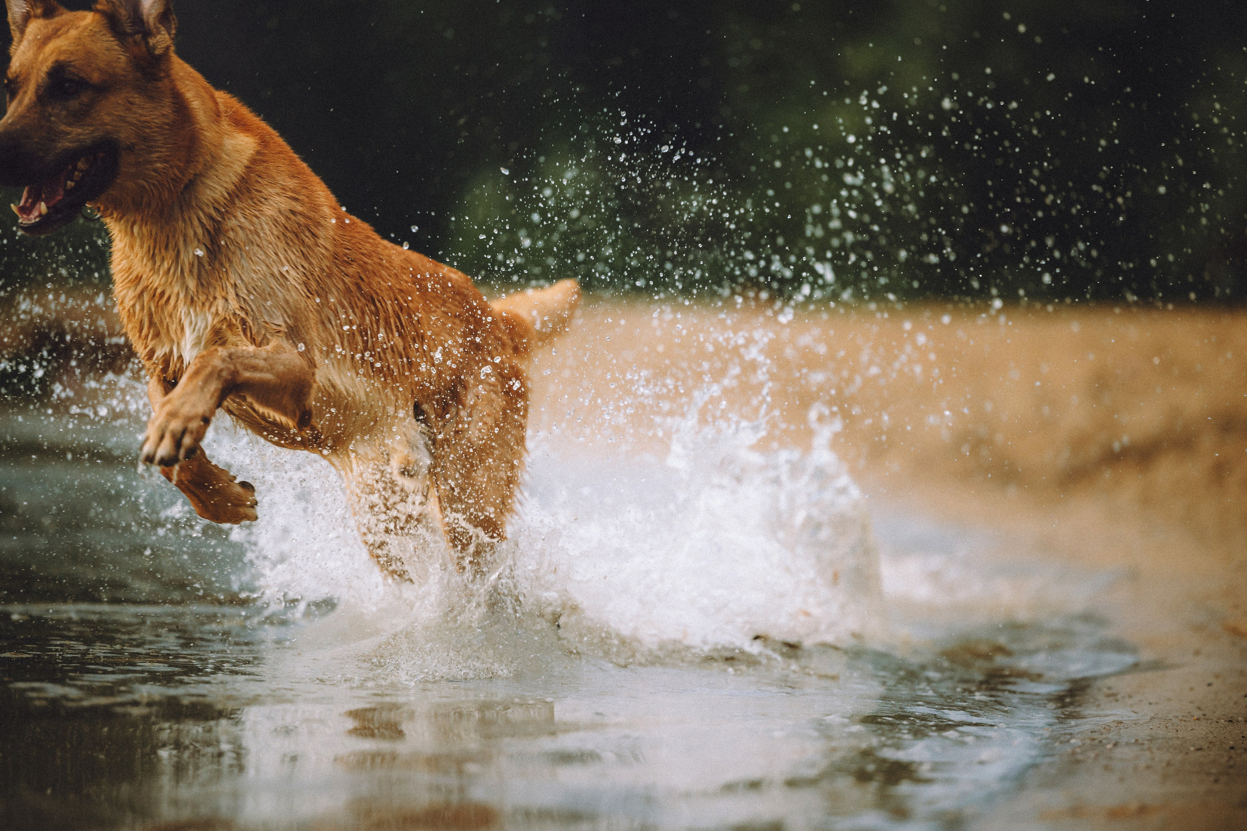 Роби, Тео и их семья
