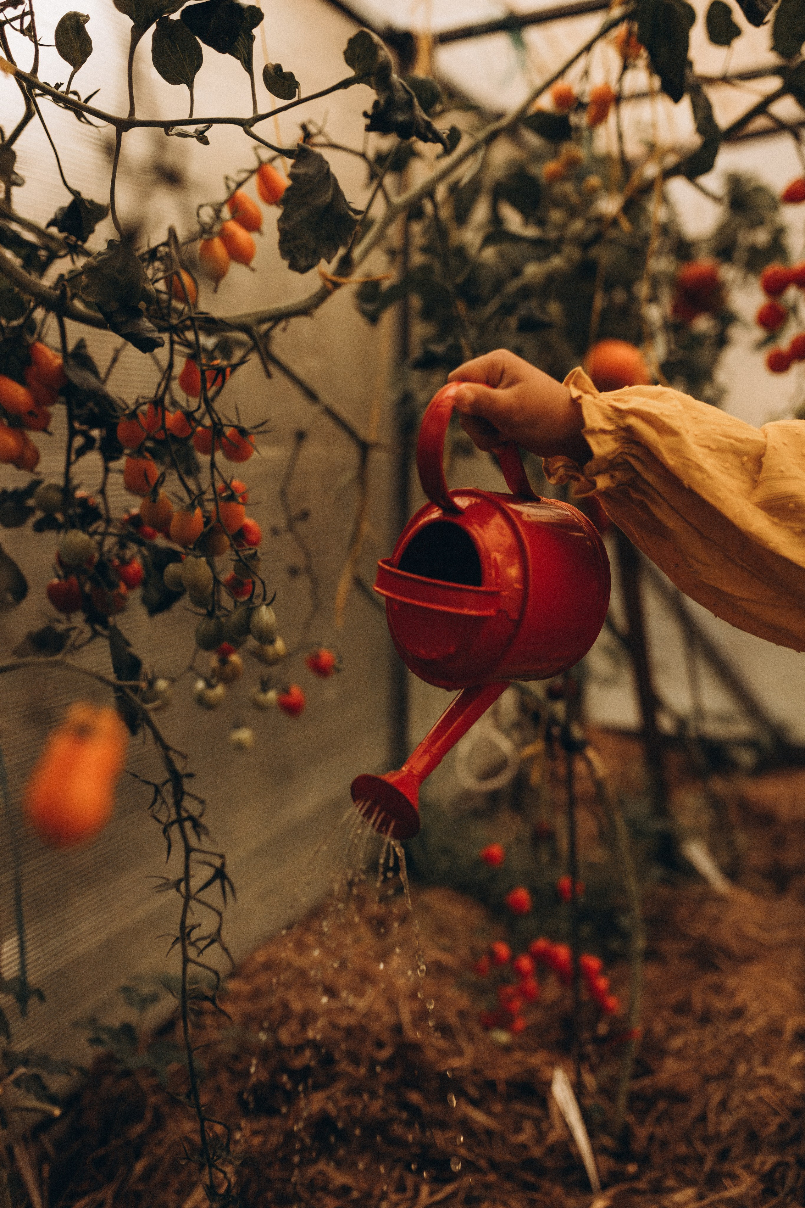 Семейные съёмки. Семейный и портретный лайфстайл фотограф в Санкт-Петербурге Даша Державец