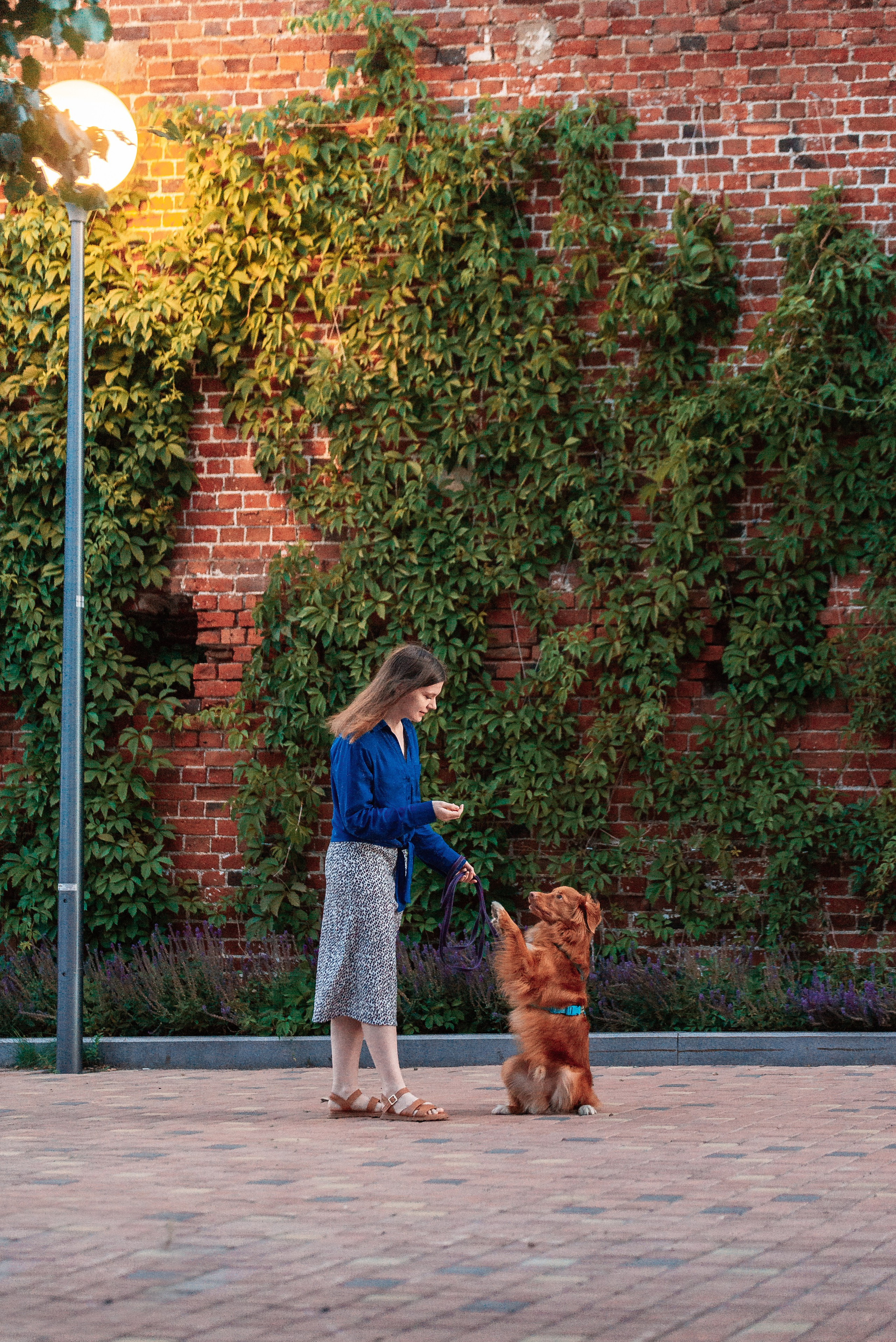 Таня и Лео. Фотограф-анималист Анастасия Парфенова|Екатеринбург