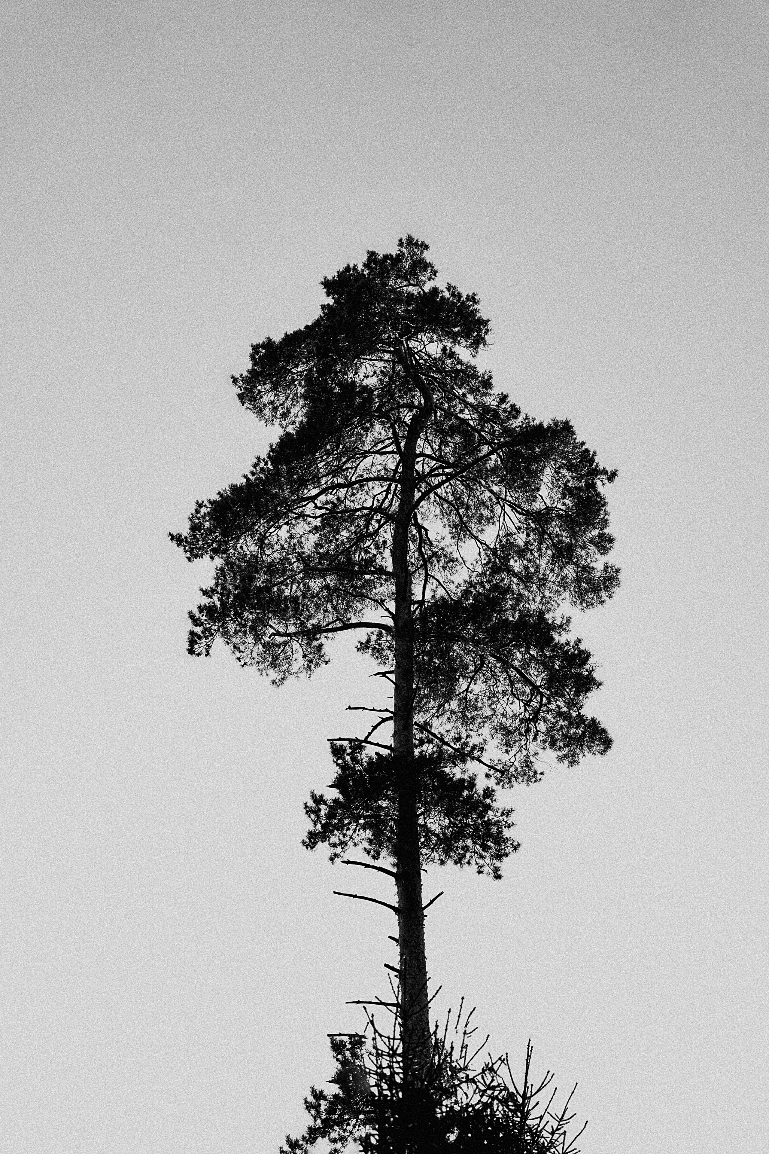 NATURE. Репортажный и уличный фотограф в Щёлково Александра Пименова