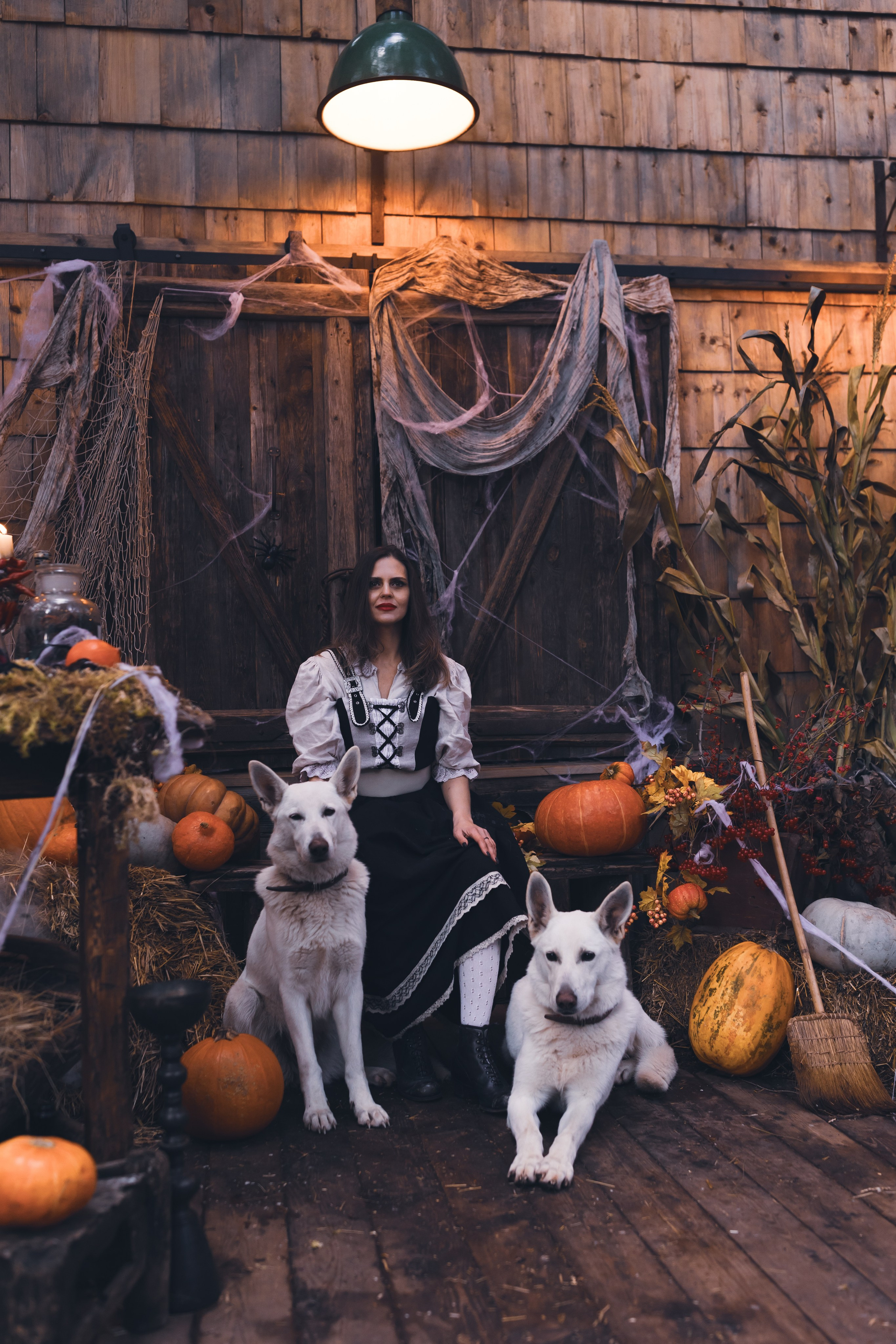 Тайны леса. Сказочный фотограф для Вас и Вашей семьи
