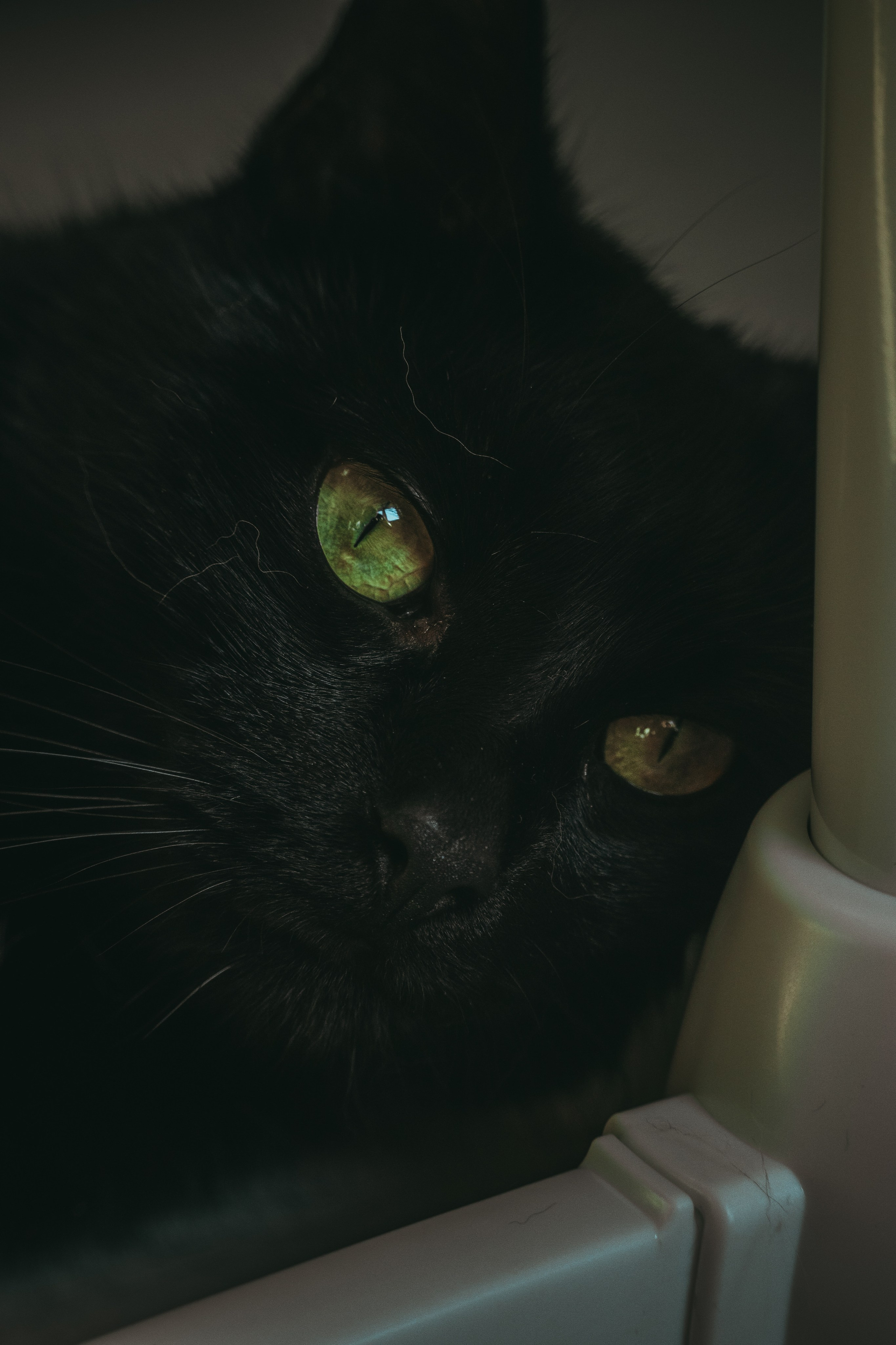 Л Ю Ц И Ф Е Р. — Digital Noise —