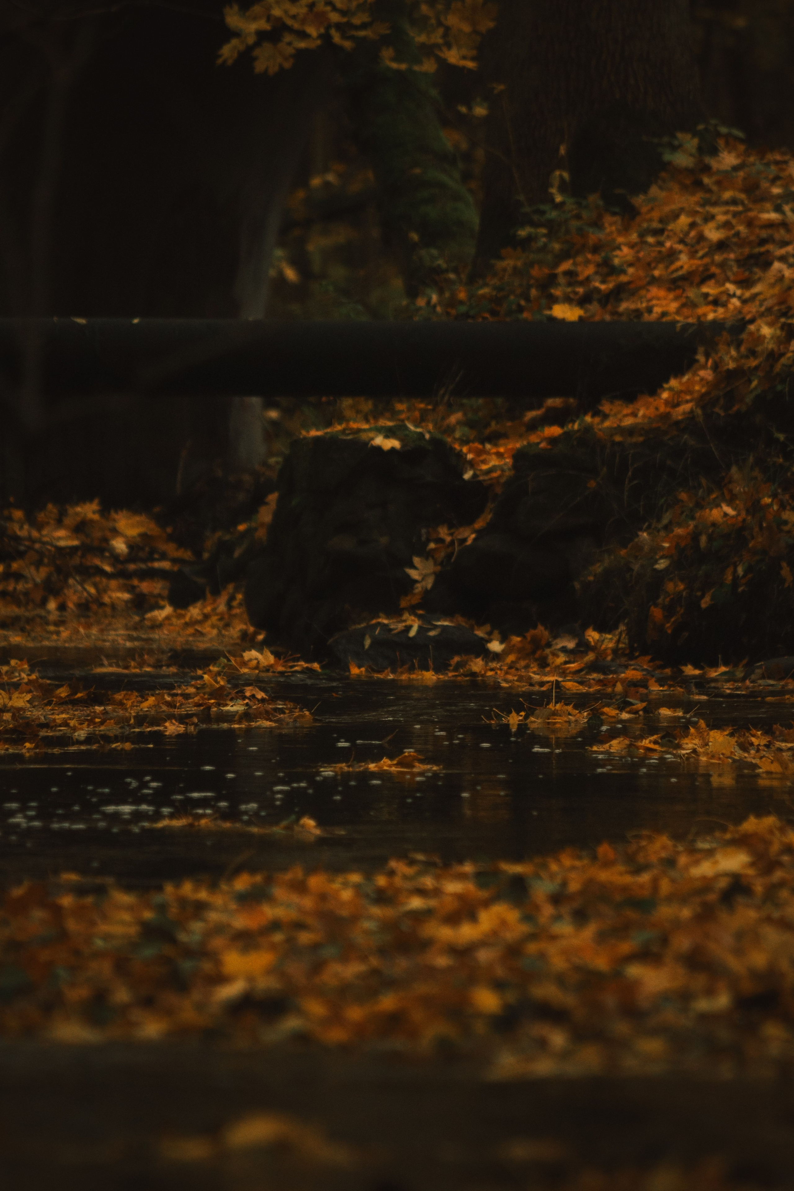 Ж Е Л Т Ы Й. — Digital Noise —