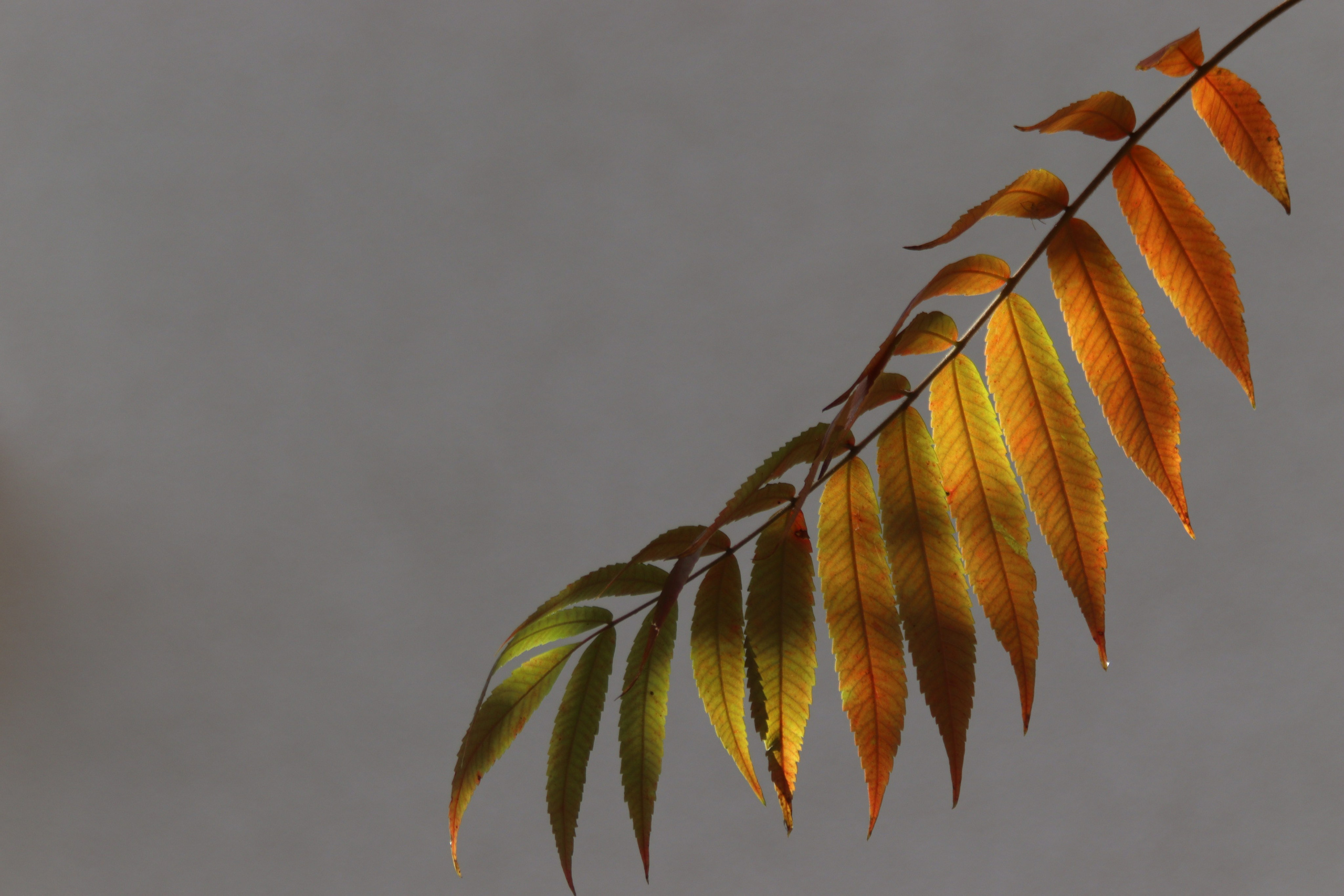 М И Н И М А Л И З М. — Digital Noise —