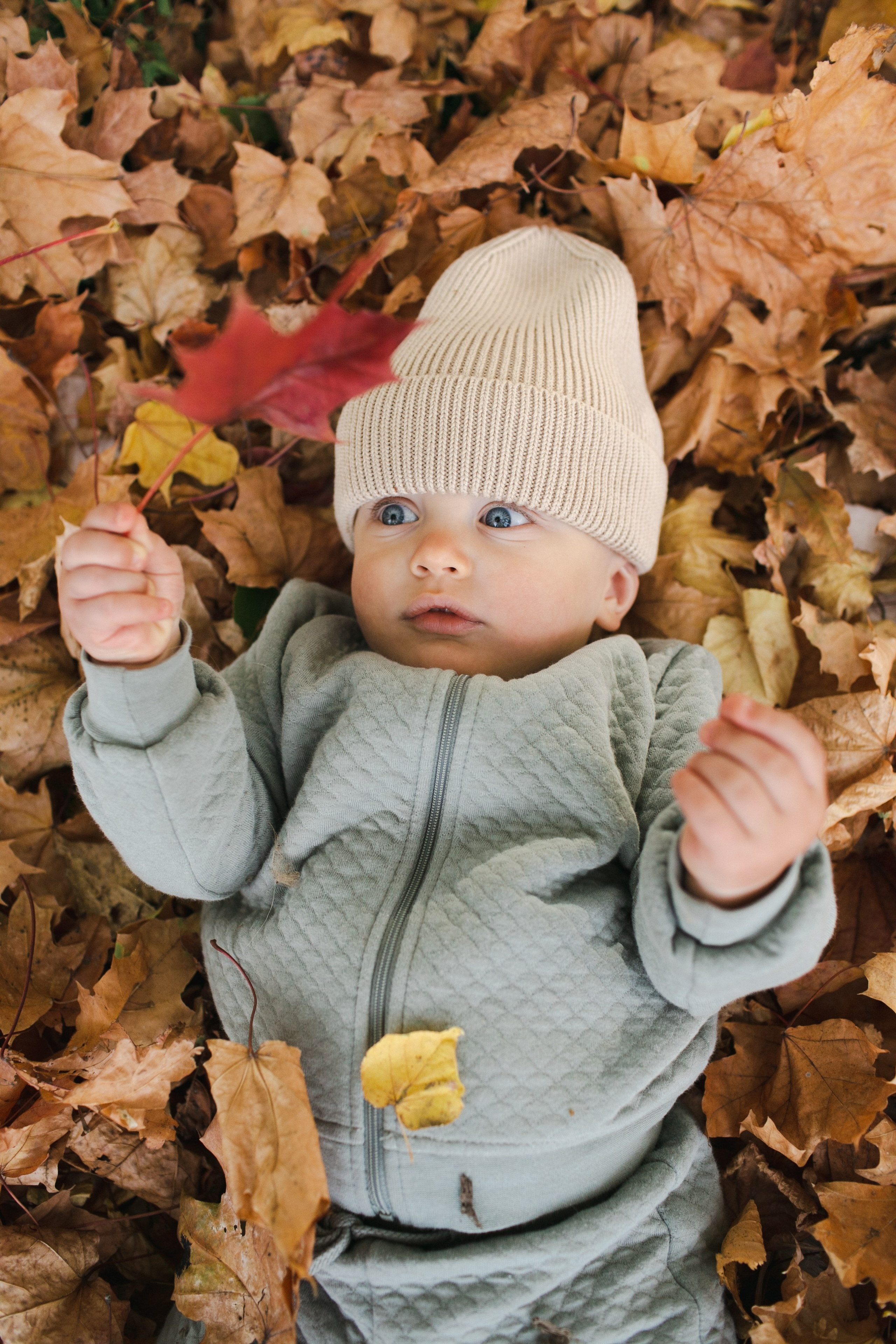 Семейные фотосессии. Профессиональный фотограф Евгений Земцов в Москве. Контент съемка, репортаж мероприятий, бизнес портреты