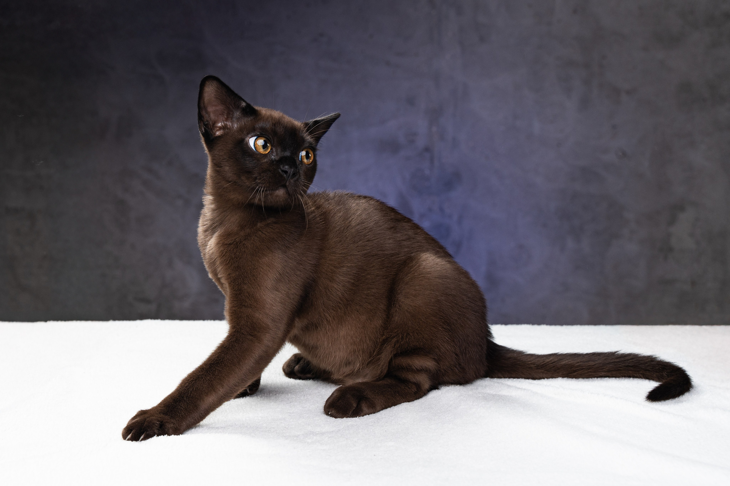 QUEST. ЮRA. Делаю красиво