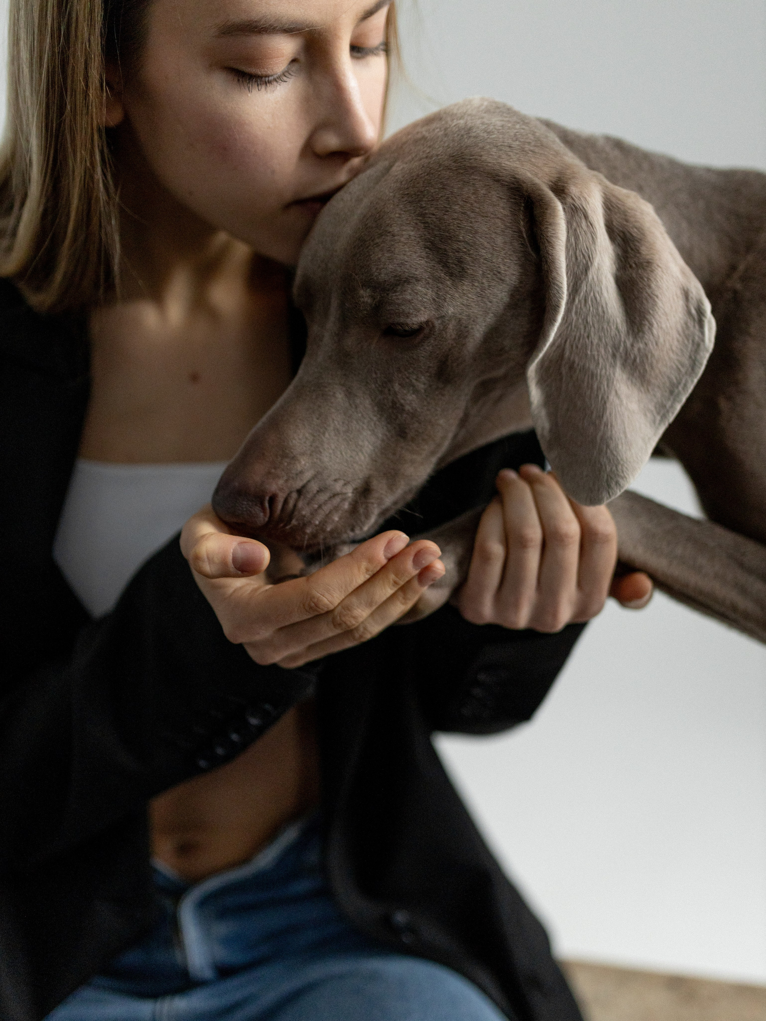 Сенча и Даша. Фотограф-анималист в Москве Кириллова Татьяна