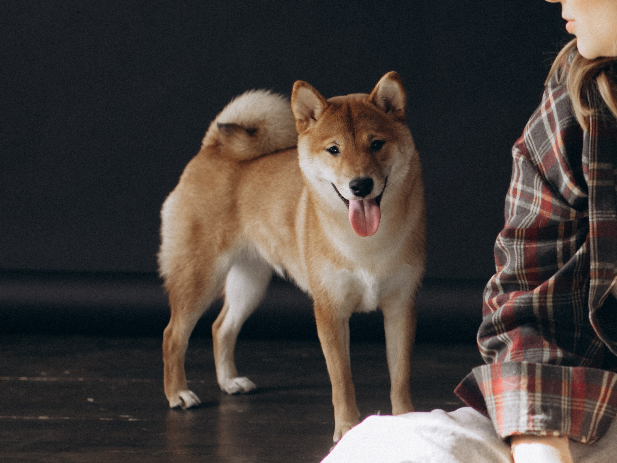 Мика и Настя. Фотограф-анималист в Москве Кириллова Татьяна