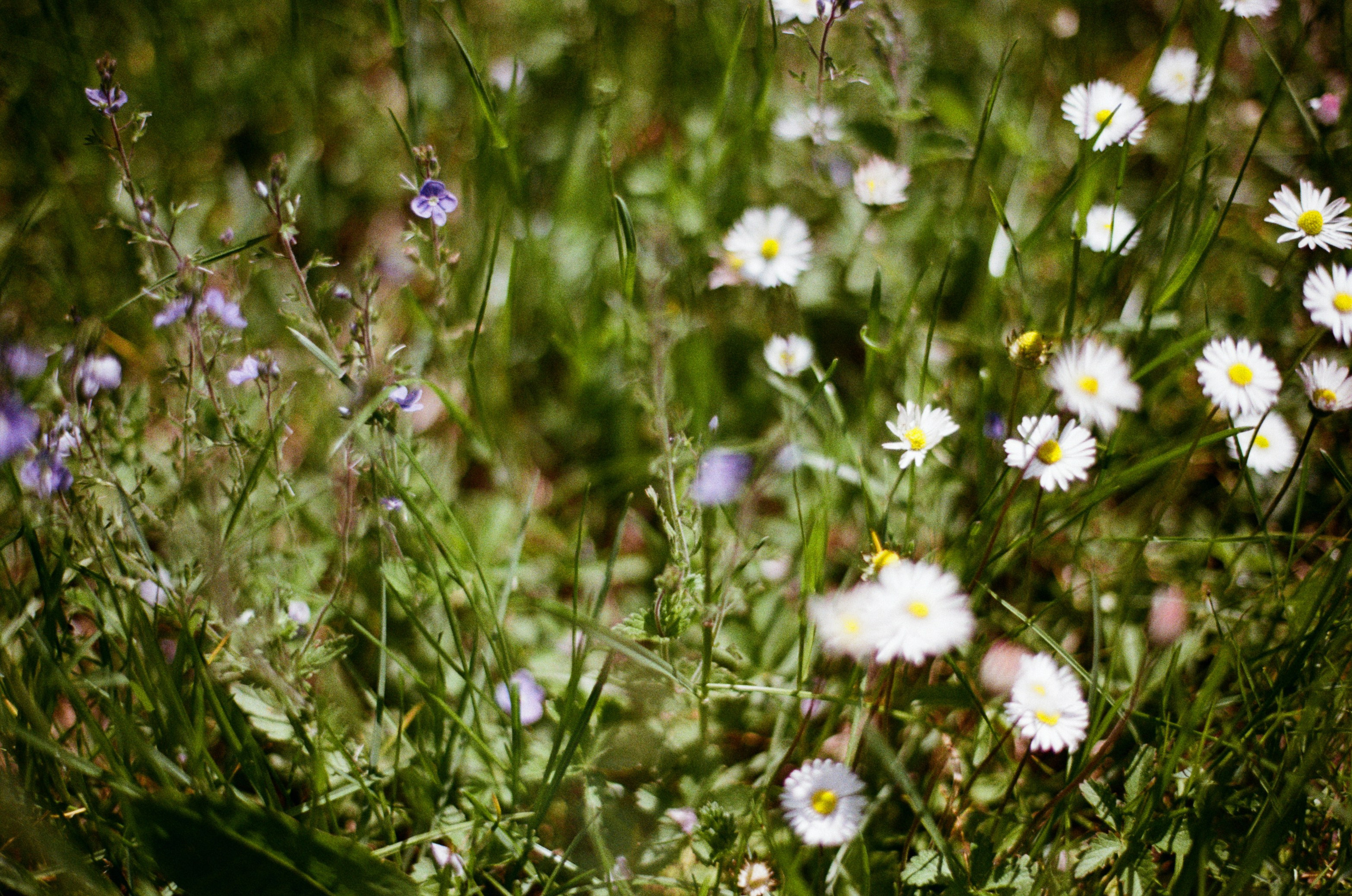 Point of no reply // ukraine, crimea. EVER EXPOSED