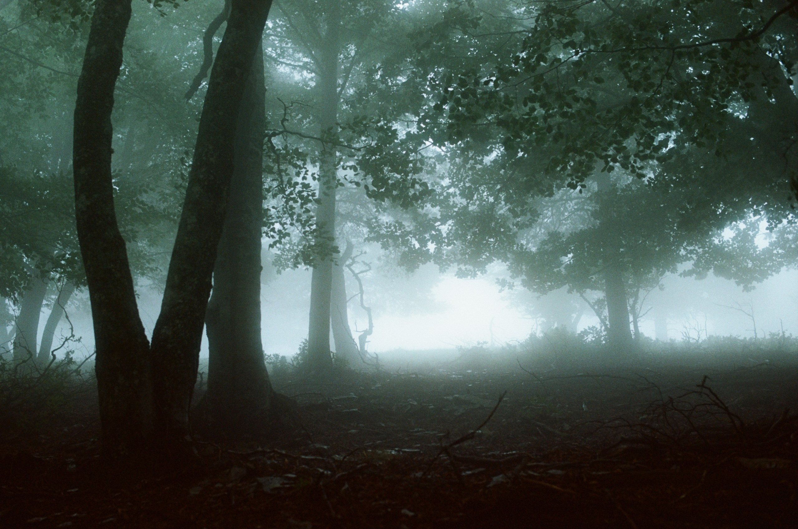 Dig it // ukraine, crimea. EVER EXPOSED