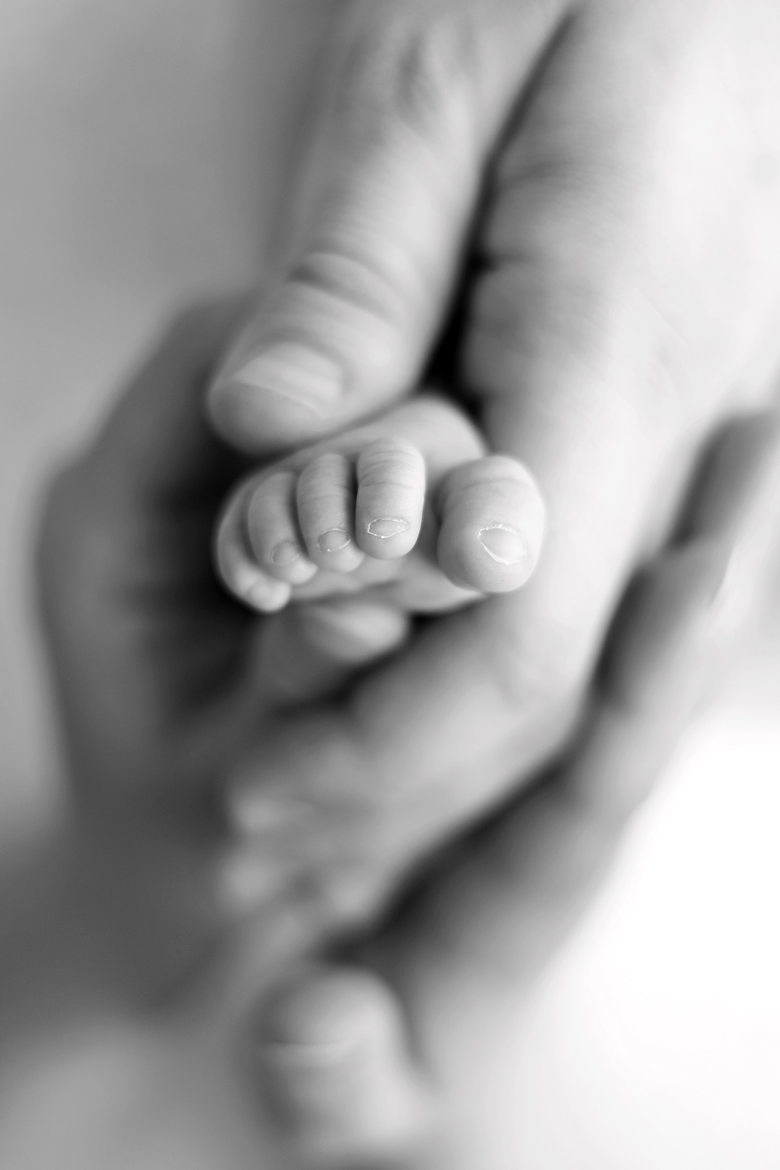 Ньюборн съемка Алисы, оптимальный пакет co стилем natural. Фотограф новорожденных Москва. Ньюборн фотограф Москва