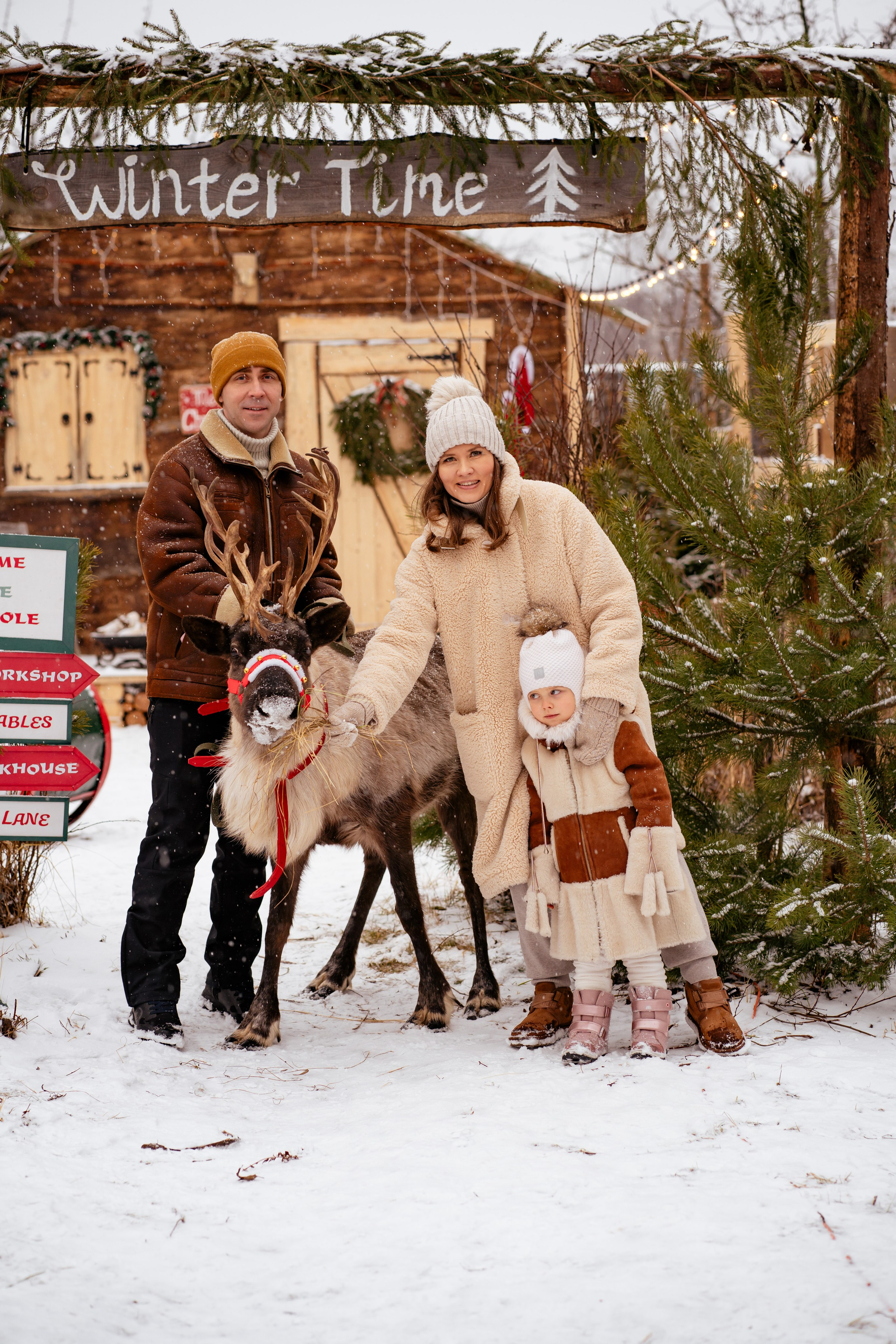Фотодача «Калина» зима/новый год. Мои работы